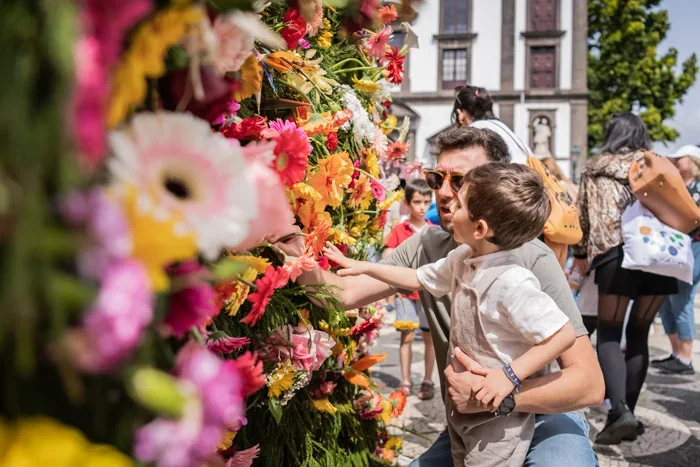 The Wall of Hope (Muro da Esperança) is one of the most iconic and moving traditions of Madeira’s annual Flower Festival (Festa da Flor), held in Funchal.
