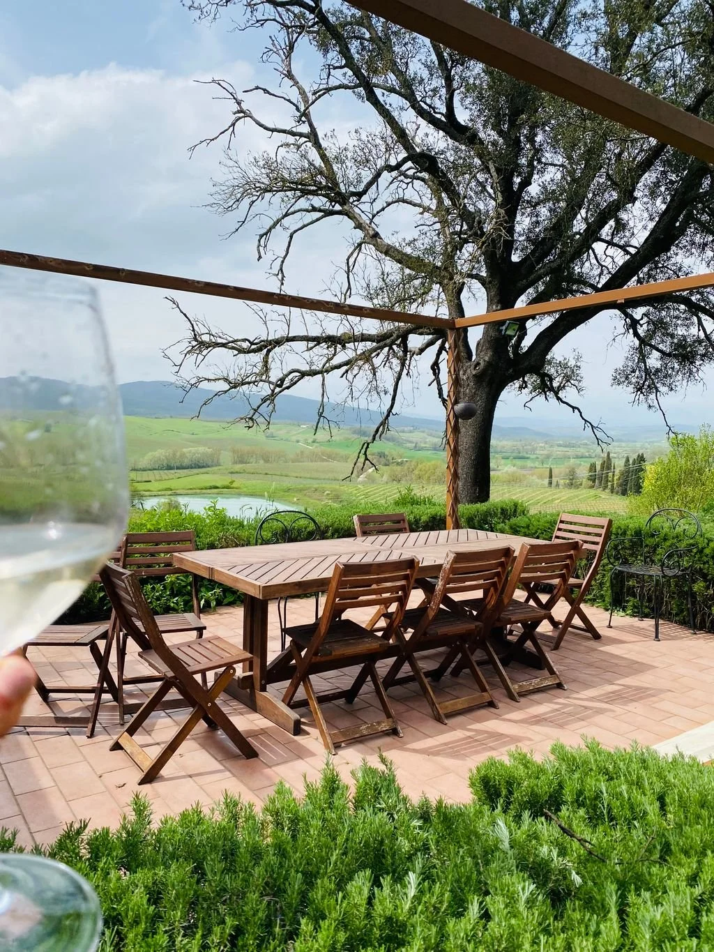 Enjoying a glass of wine while taking in the vineyard views.