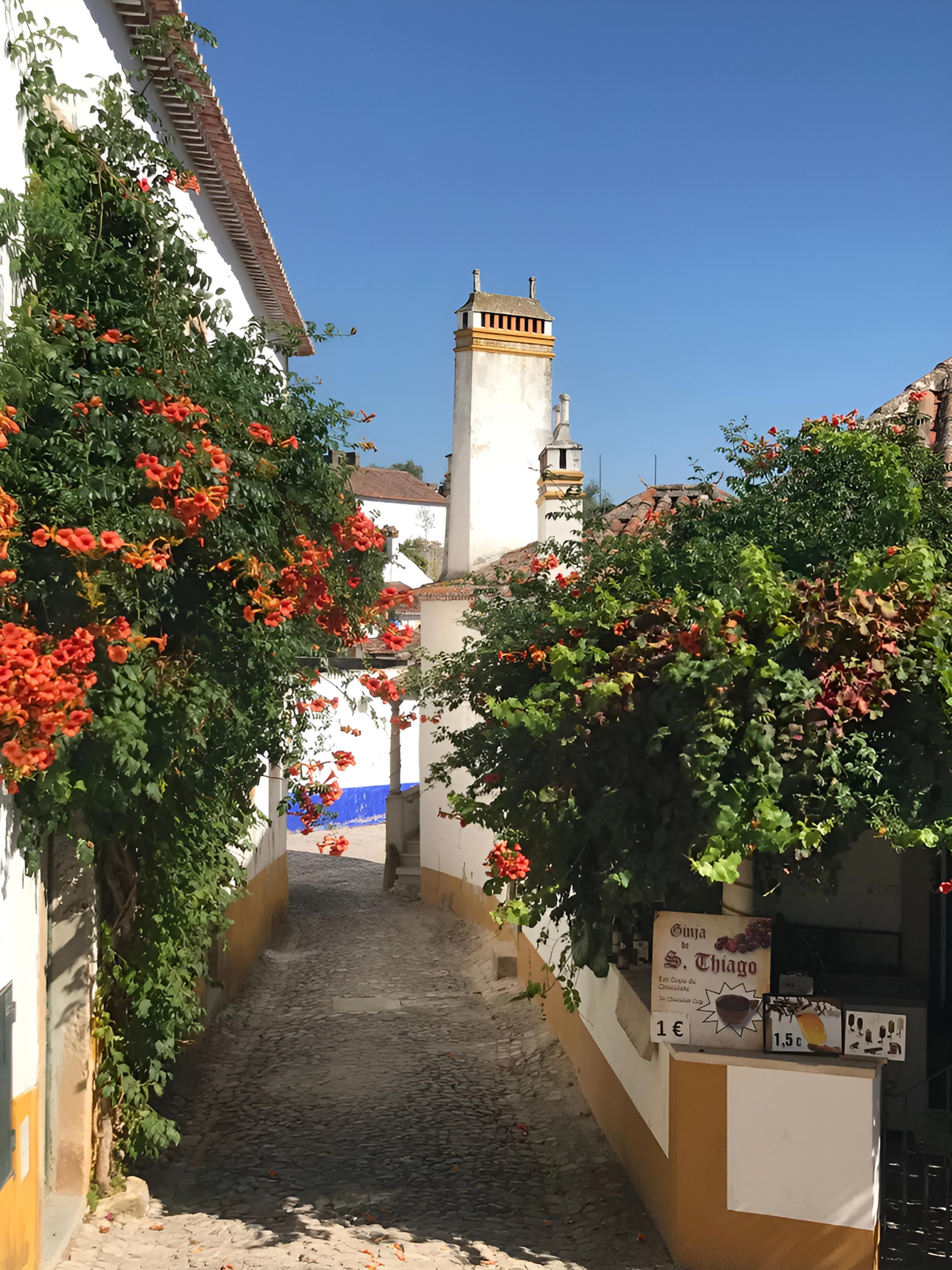 Cobblestone alleyway with vibrant orange trumpet vine flowers in Óbidos, Portugal.