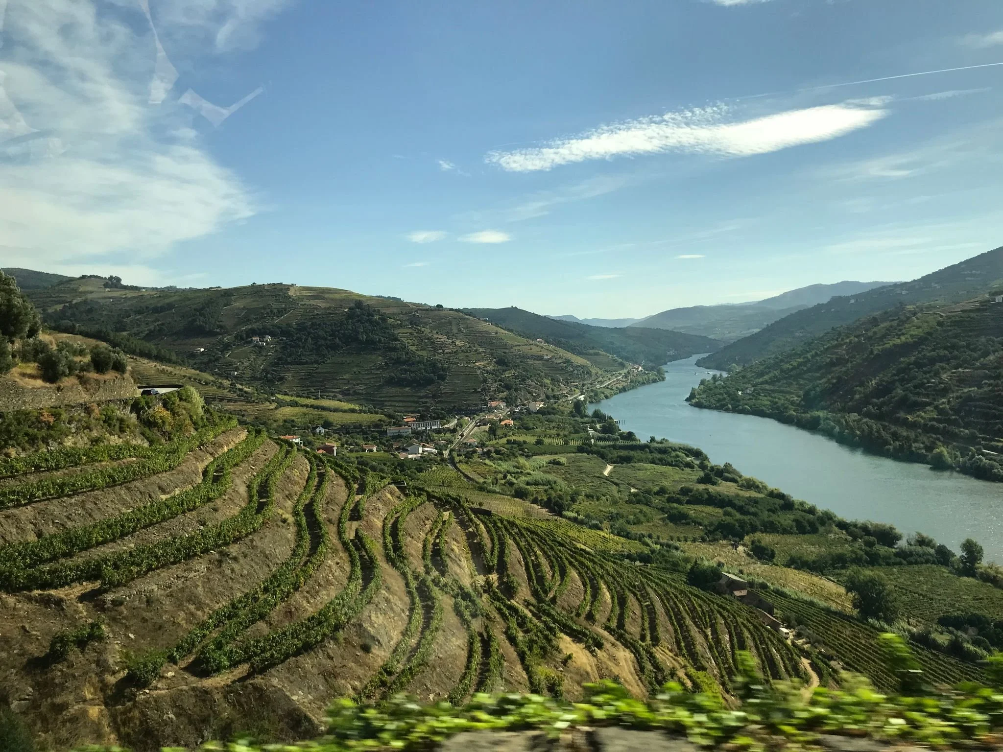 The Douro Valley in Portugal, the world's oldest demarcated wine region.