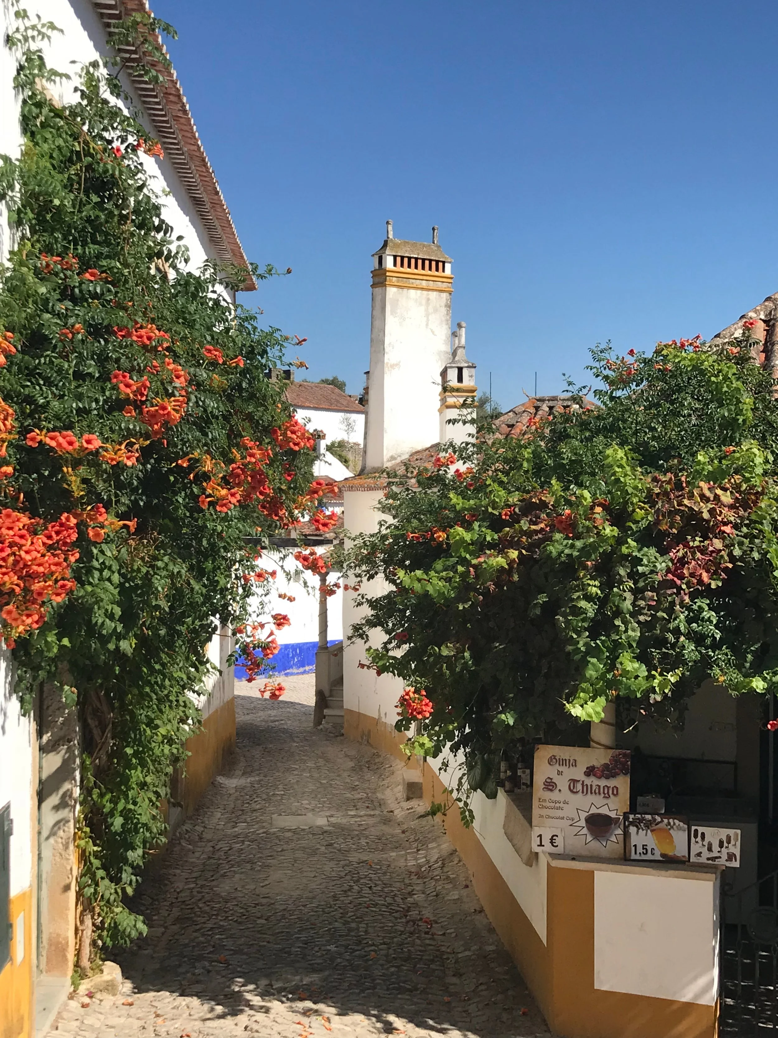 Obidos medieval village, whitewashed walls.
