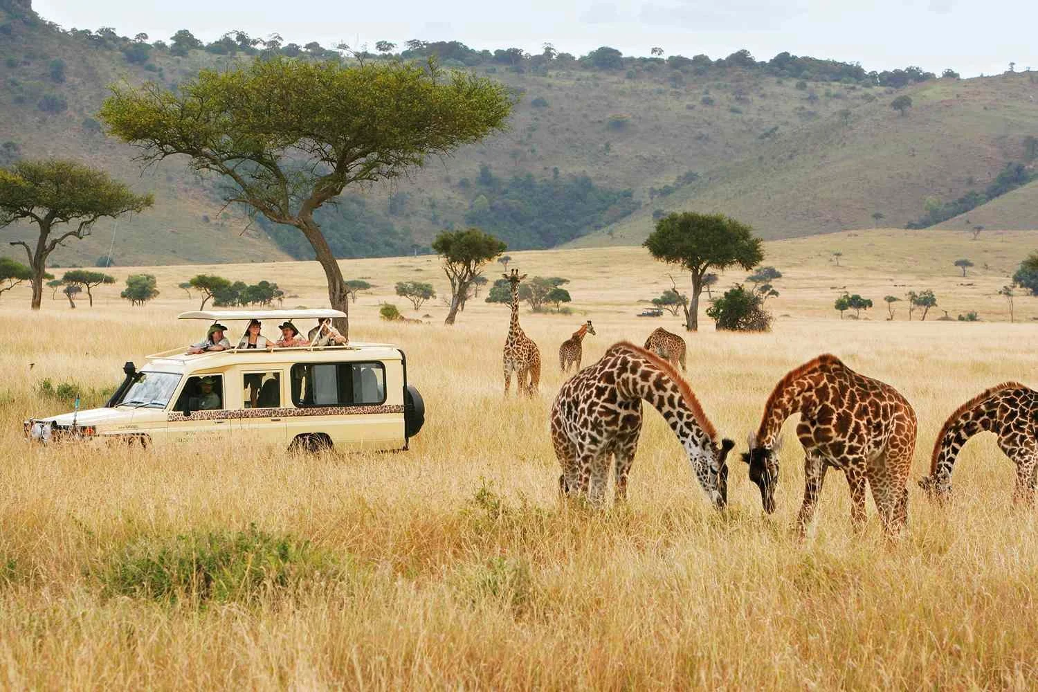 Luxury East Africa Safari: Kenya, Tanzania, and Zanzibar