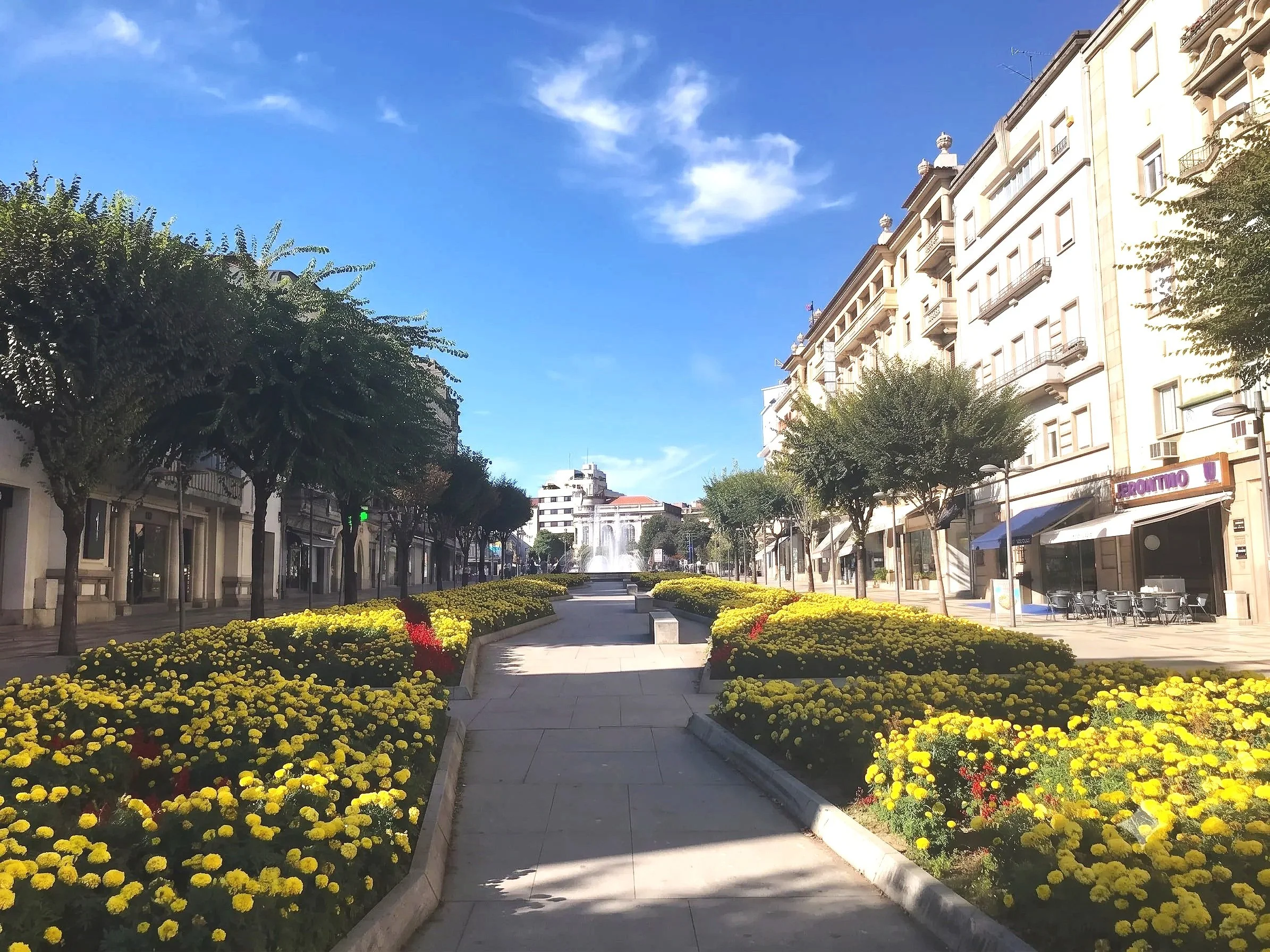 Avenida da Liberdade, a central boulevard with flower beds in Braga, Portugal.