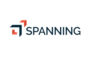 Spanning logo with geometric design