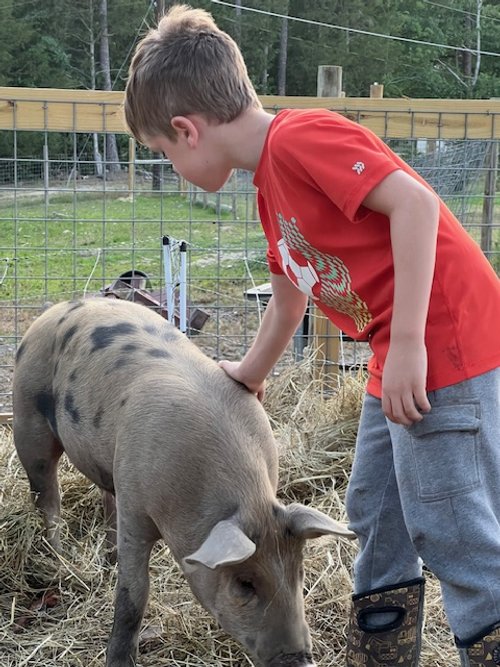 Jed with piglet.jpg