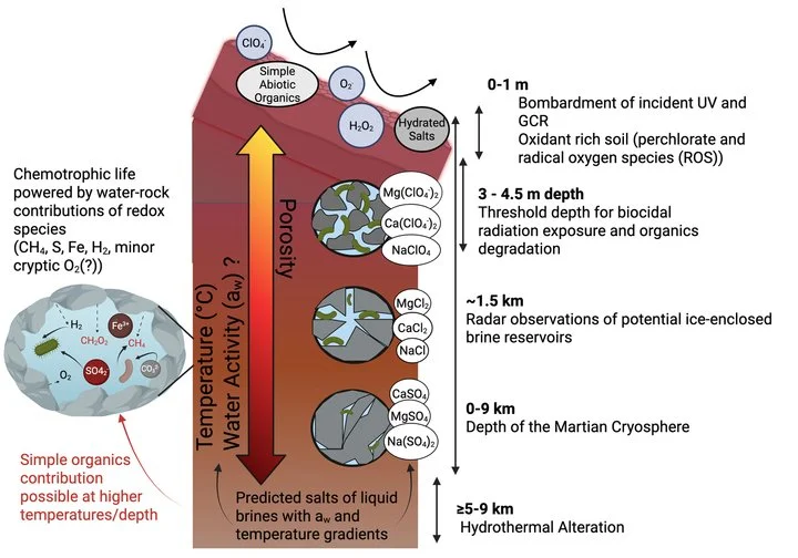 New Publication - Life Detection in the Martian Subsurface: Advancements in Microbial Metabolic Research Under Mars Laboratory and Field-Analog Conditions since Viking