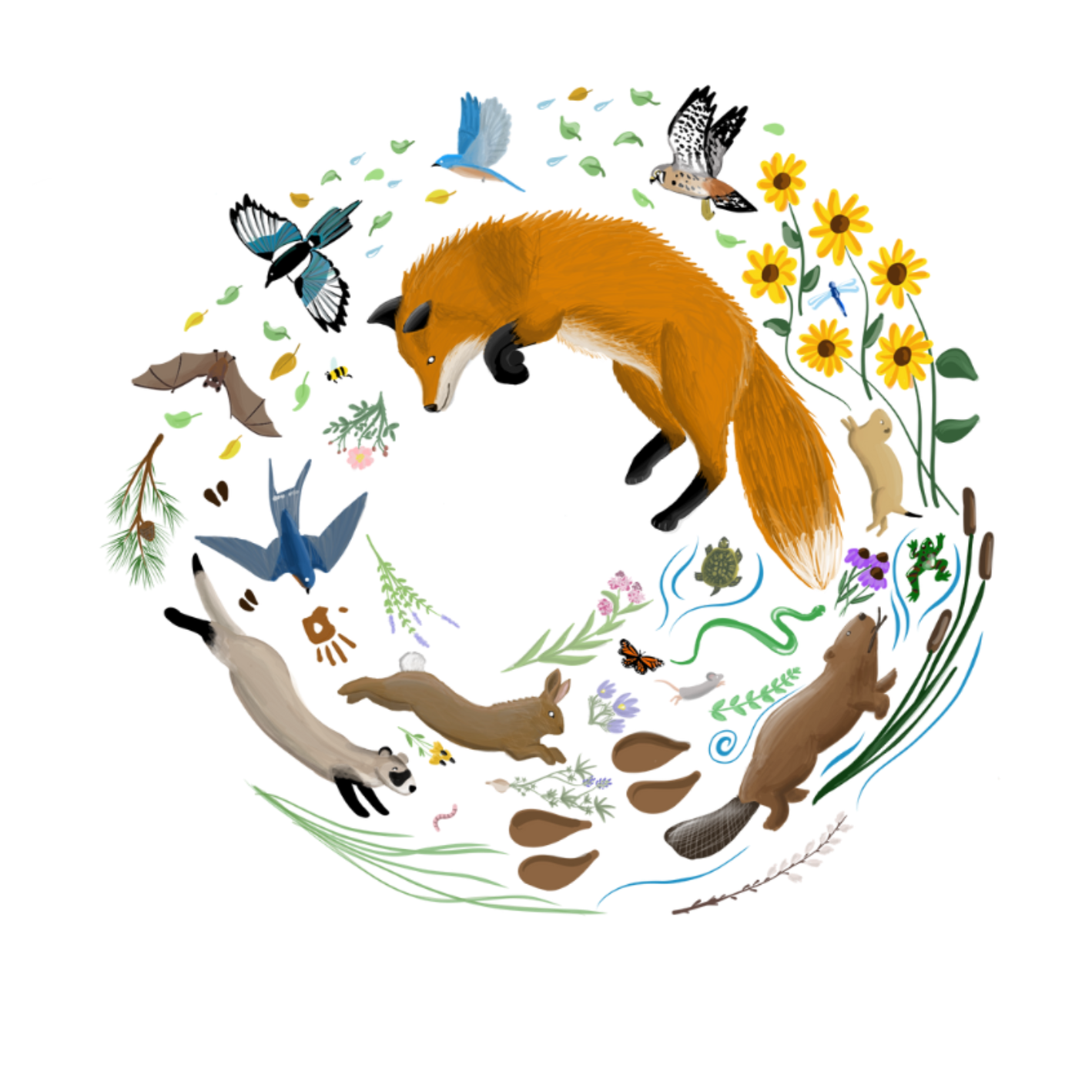 Rebel West Farm &amp; Conservancy