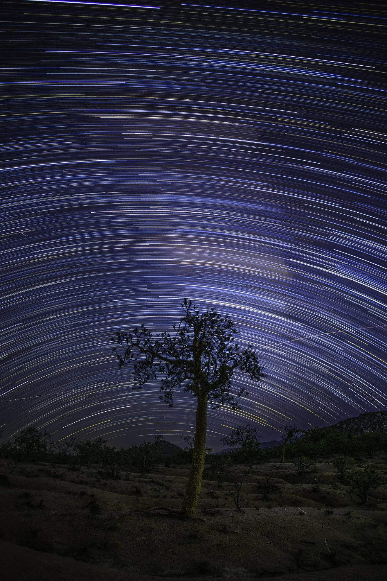 A long-exposure photo of star trails in the night sky above a solitary tree and desert landscape.