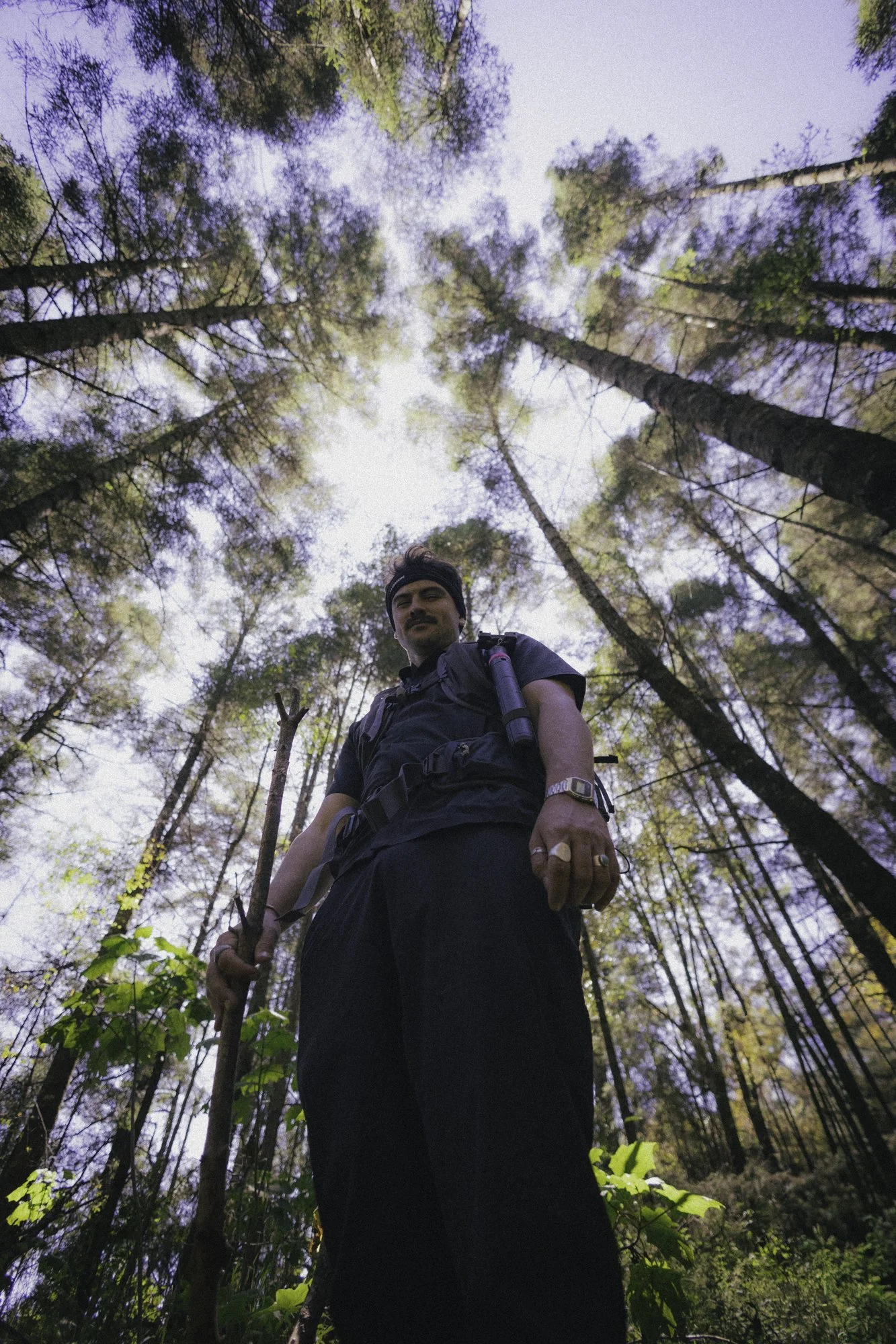 A man standing in a forest with tall trees, looking down at the camera, holding a stick, wearing a black shirt, shorts, a watch, and a backpack, with the blue sky visible through the canopy.
