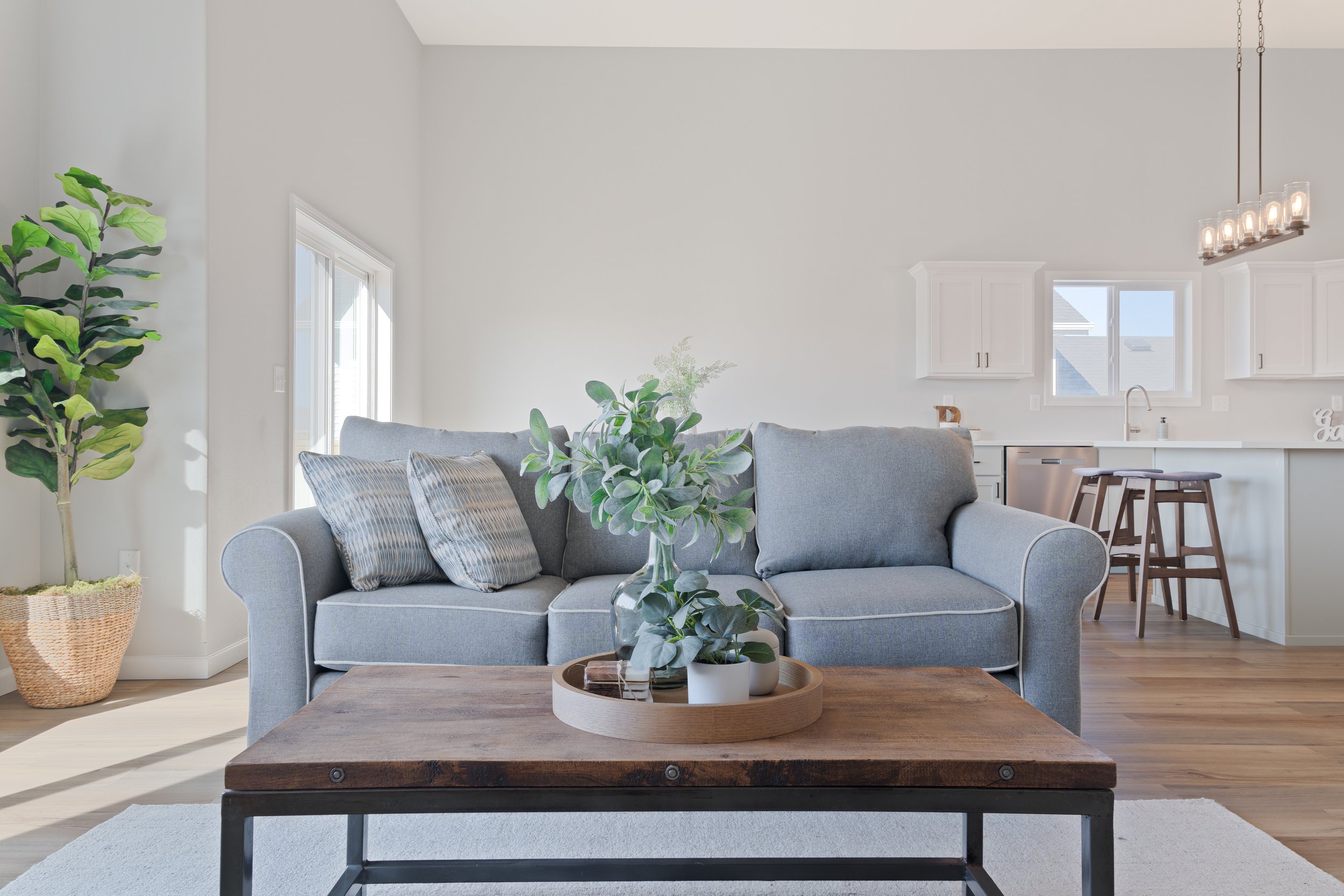 Living room with gray sofa, wooden coffee table, large potted plant, white walls, kitchen with bar stools and cabinets in the background, and hardwood flooring.