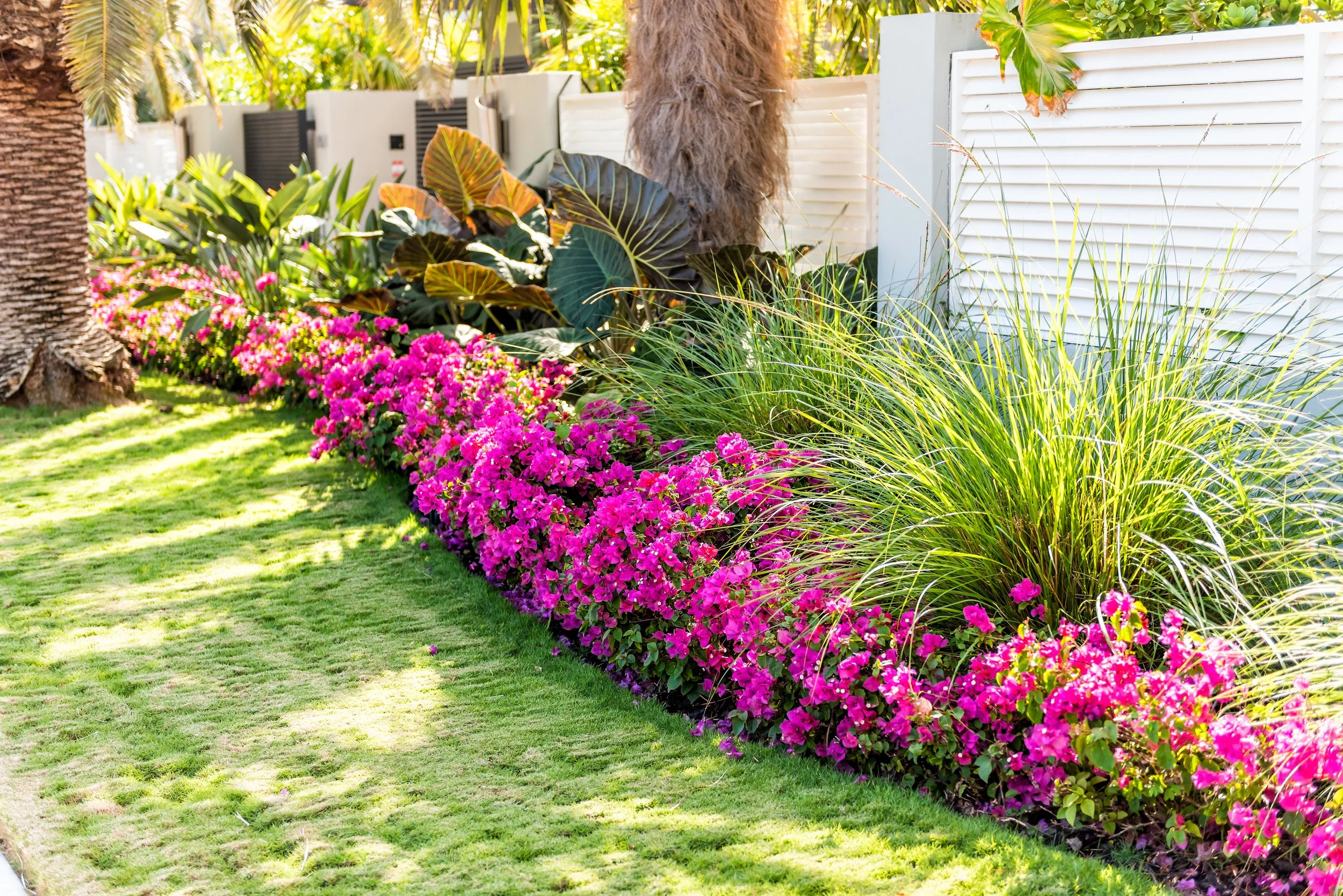 April Lawn Maintenance Guide for Covington, Louisiana