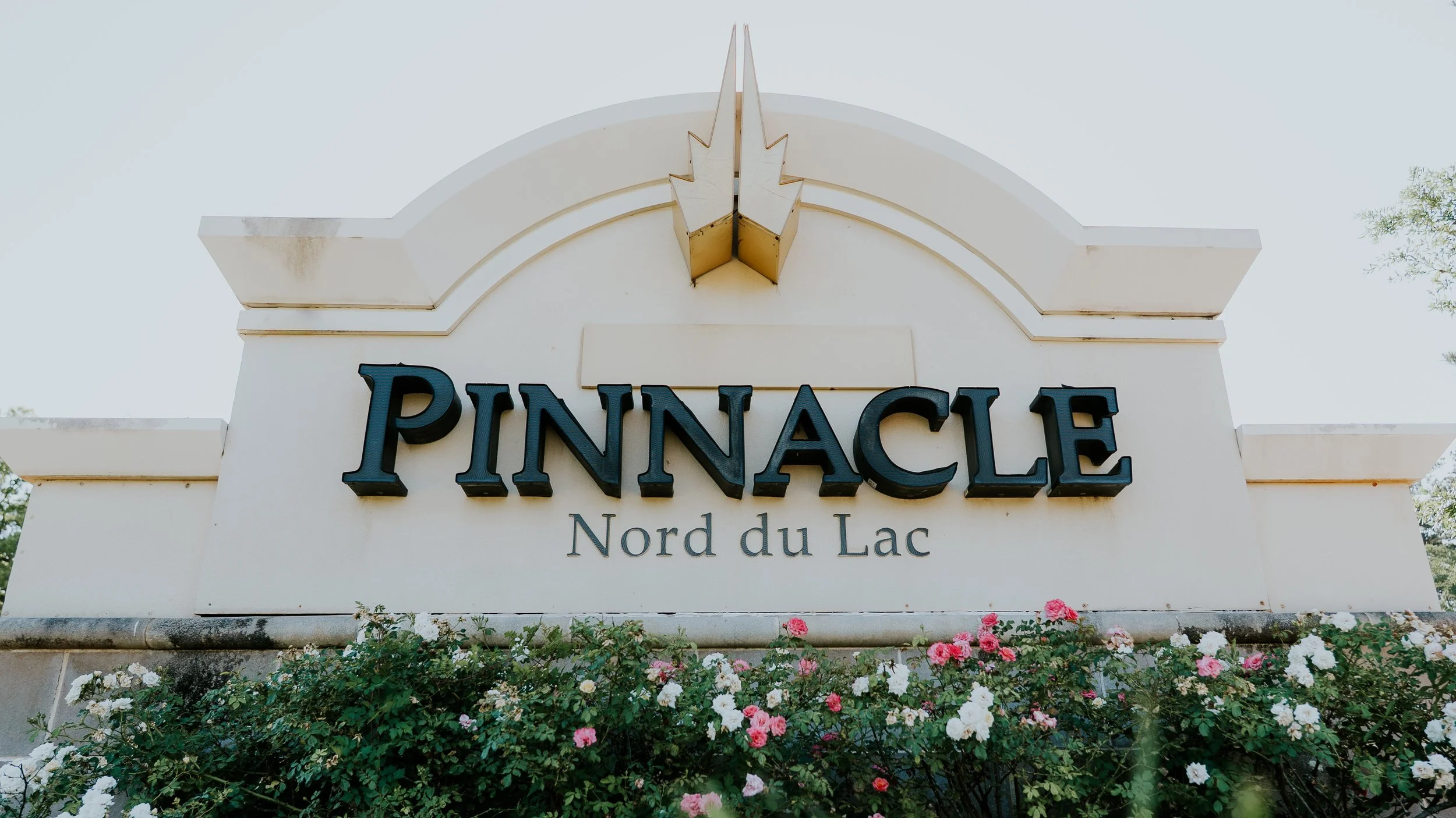 Commercial Landscape Maintenance &amp; Installation in Covington, LA | Retail Centers &amp; Multi-Tenant Properties