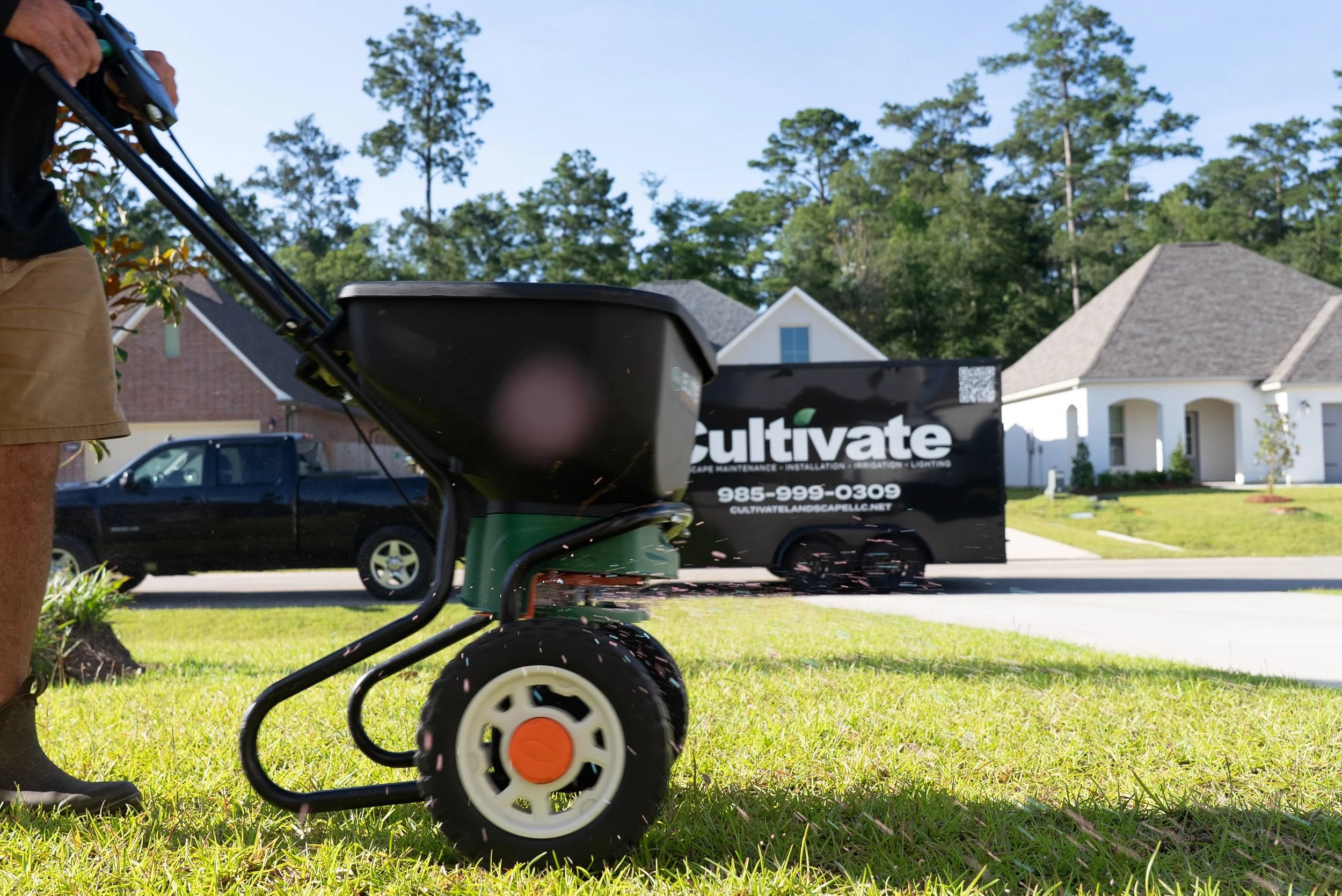 Why Fertilizing Your Grass Before Drought Season Matters