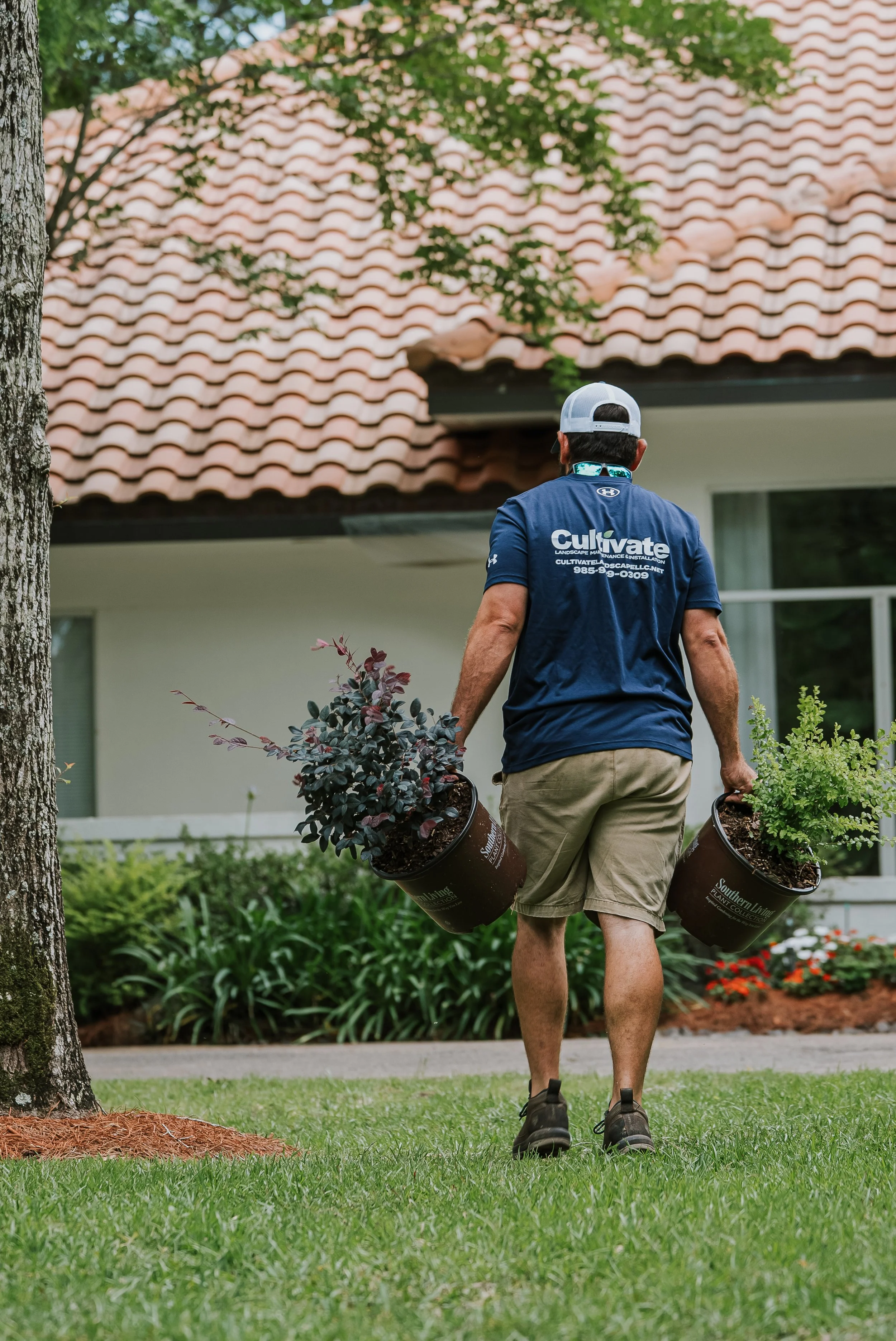 July Landscape Checklist for South Louisiana Properties