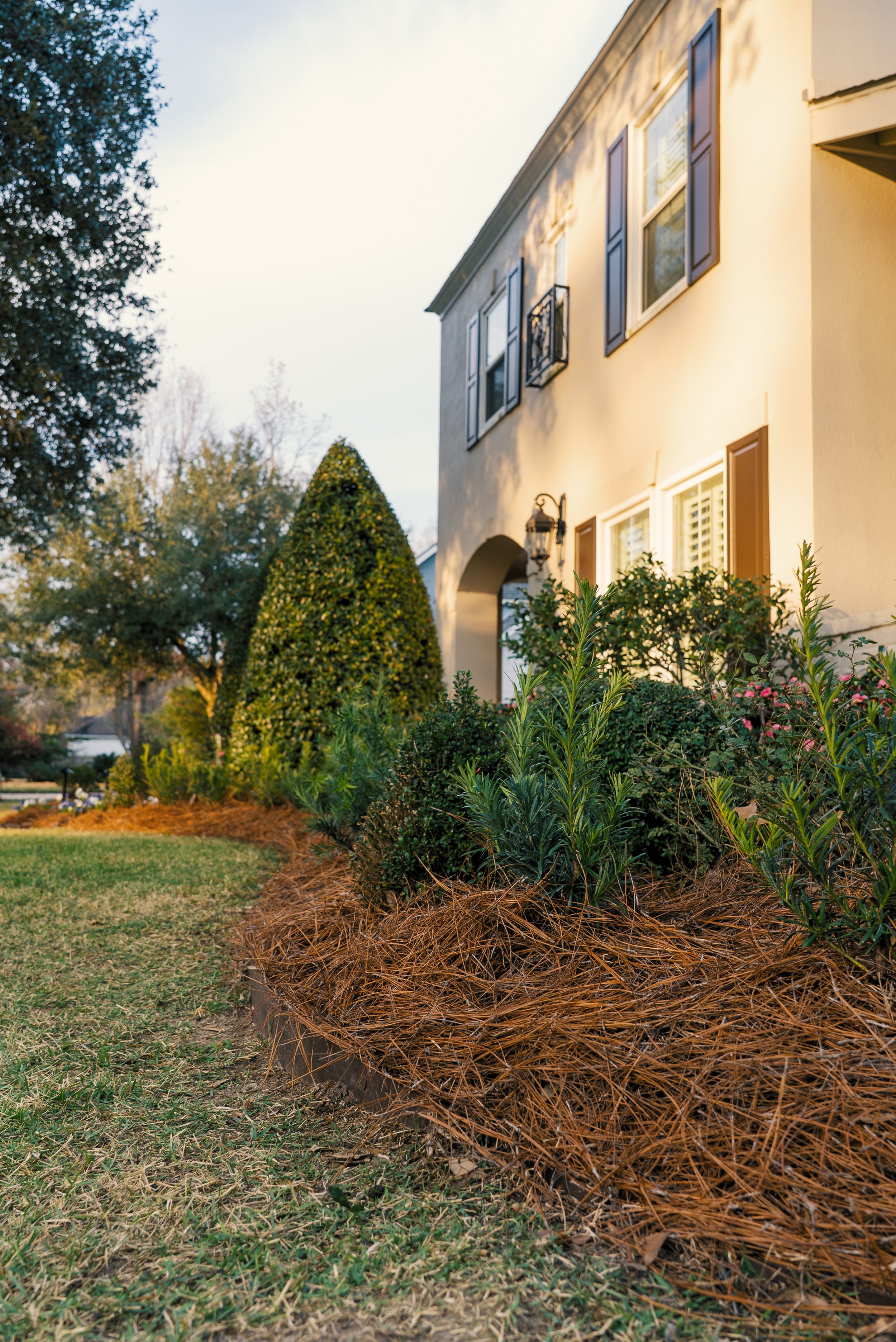 Mandeville Landscape Installation