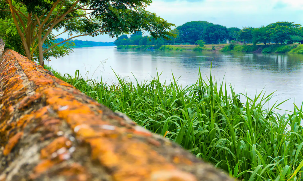 Riverside view with lush green grass, trees, calm river, and a drained orange brick wall in the foreground.