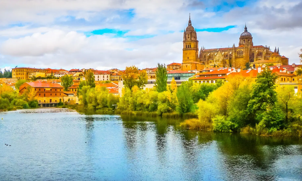 A scenic view of a historic European city with a river in the foreground, lush green trees along the riverbank, and a large cathedral with twin bell towers in the background under a cloudy sky.