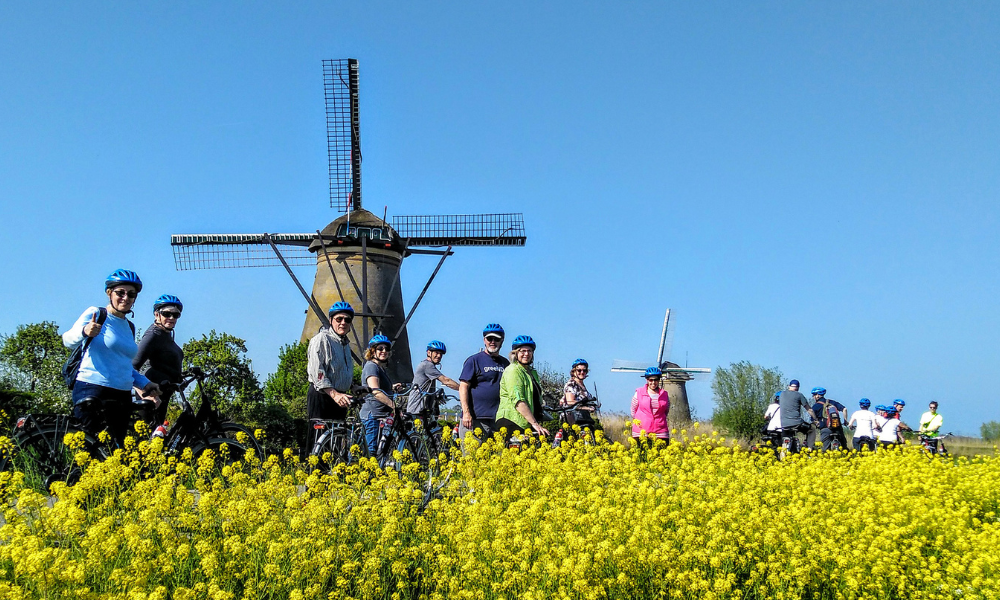 Group of people with bicycles in front of two traditional Dutch windmills, surrounded by yellow wildflowers under a clear blue sky.
