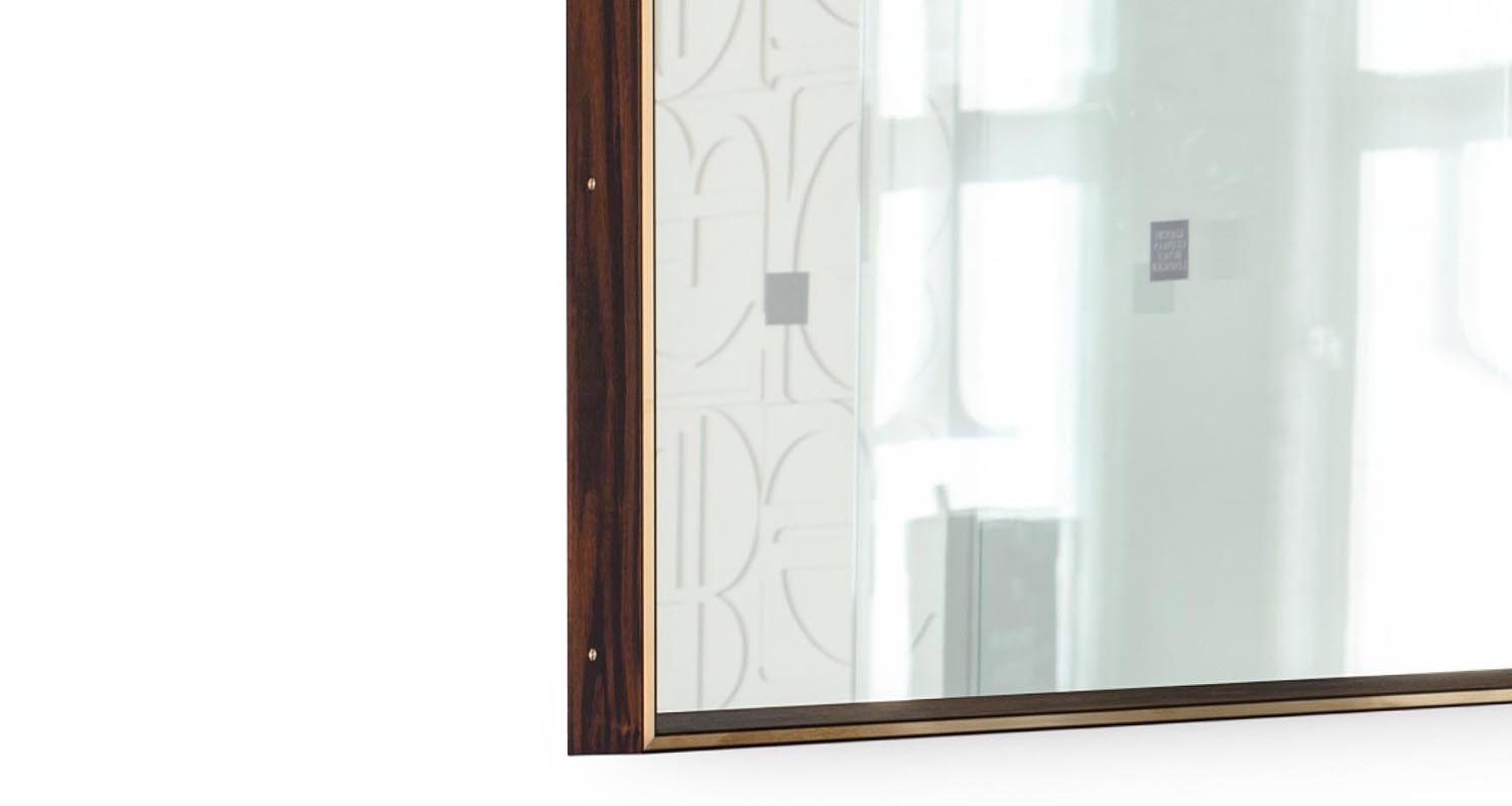 starling+mirror+2.jpg