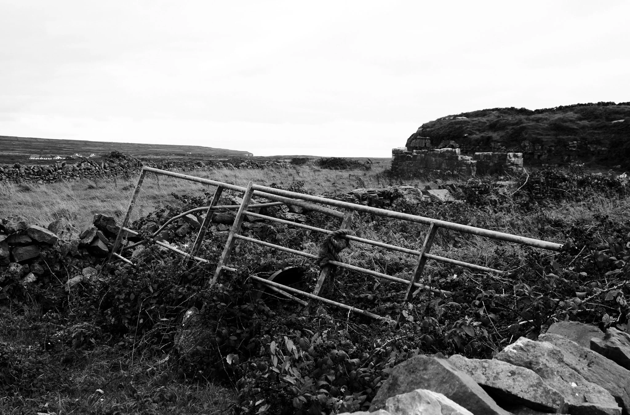DSCF5021-2.jpg