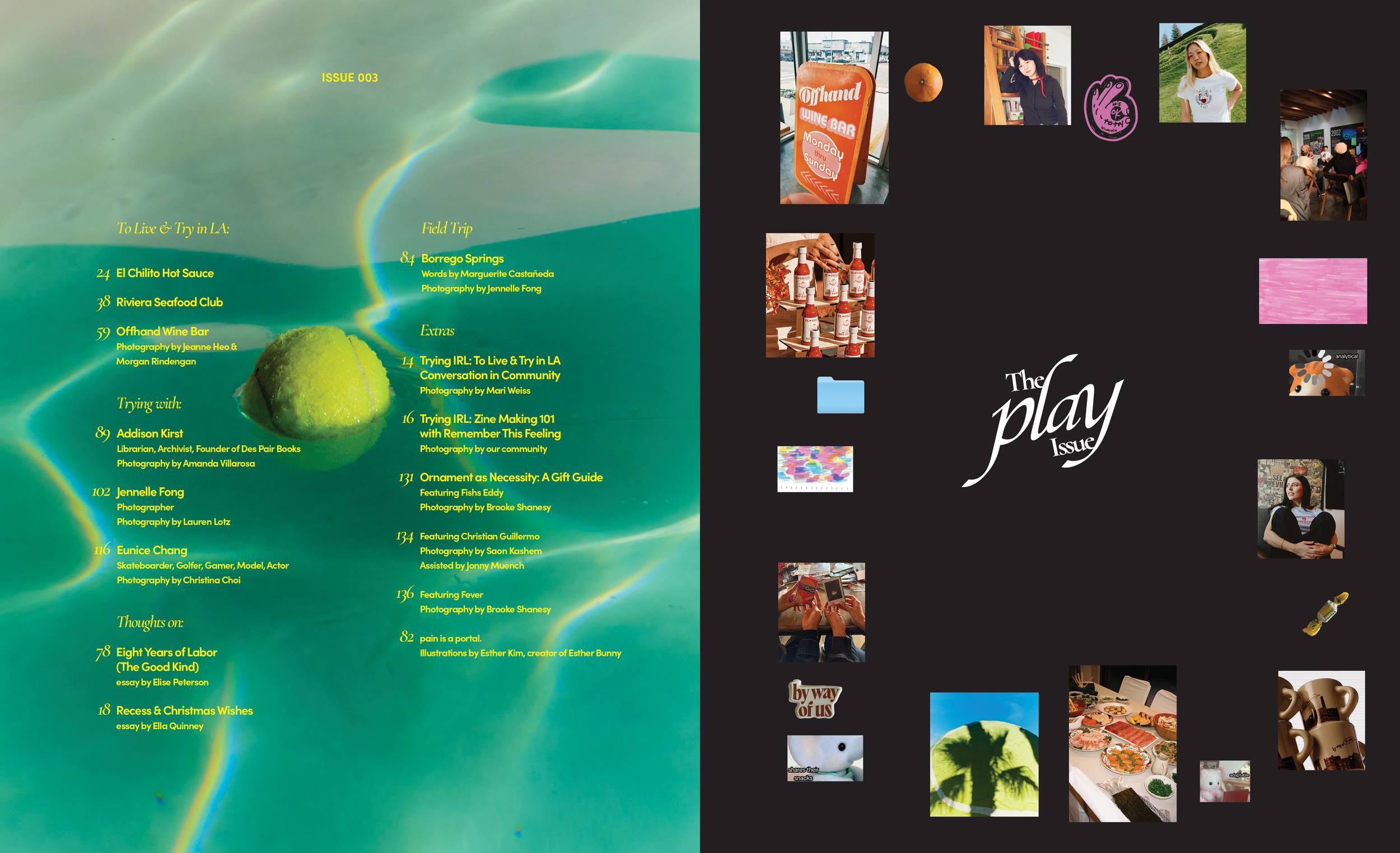 ISSUE 003-SELECTED SPREADS2.PNG