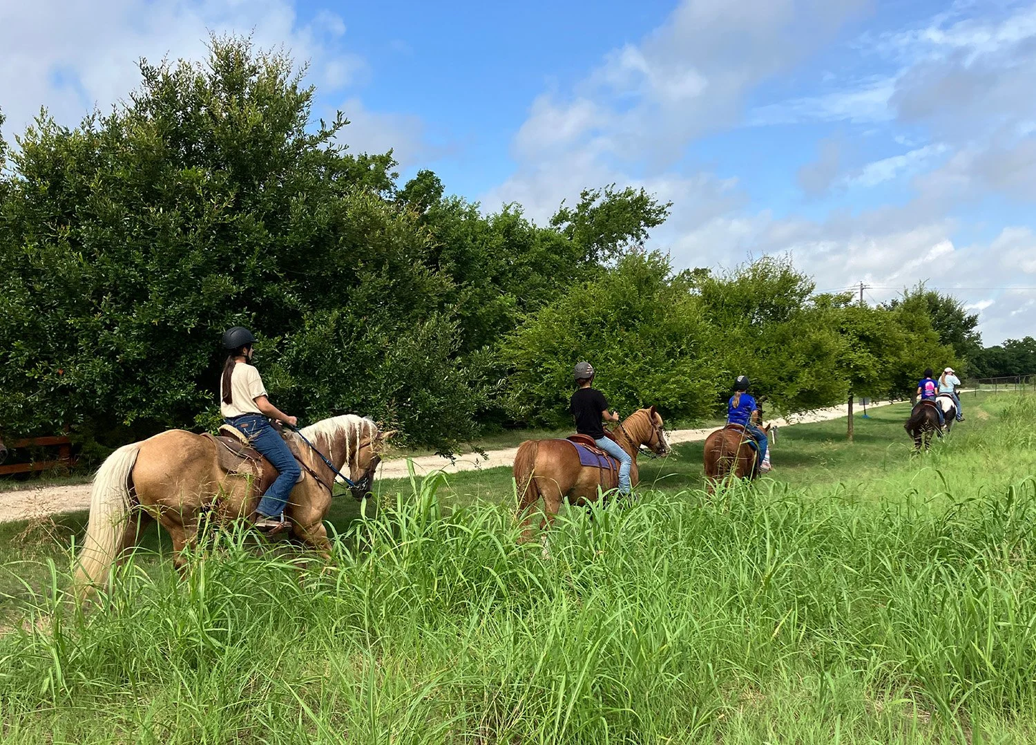 Trail ride pasture!