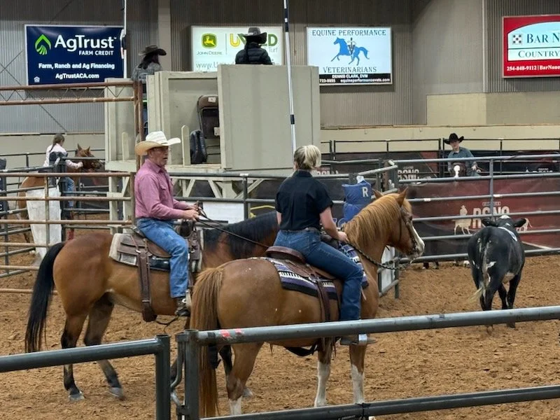 Horses and cow sorting!