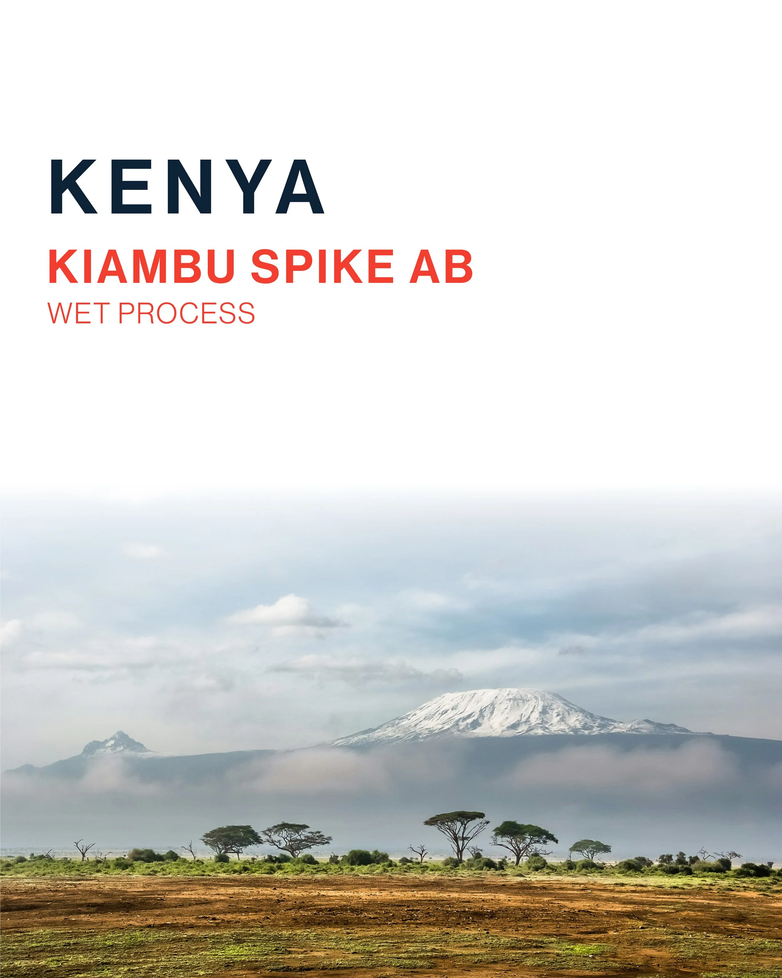 Kenya Kiambu Spike AB