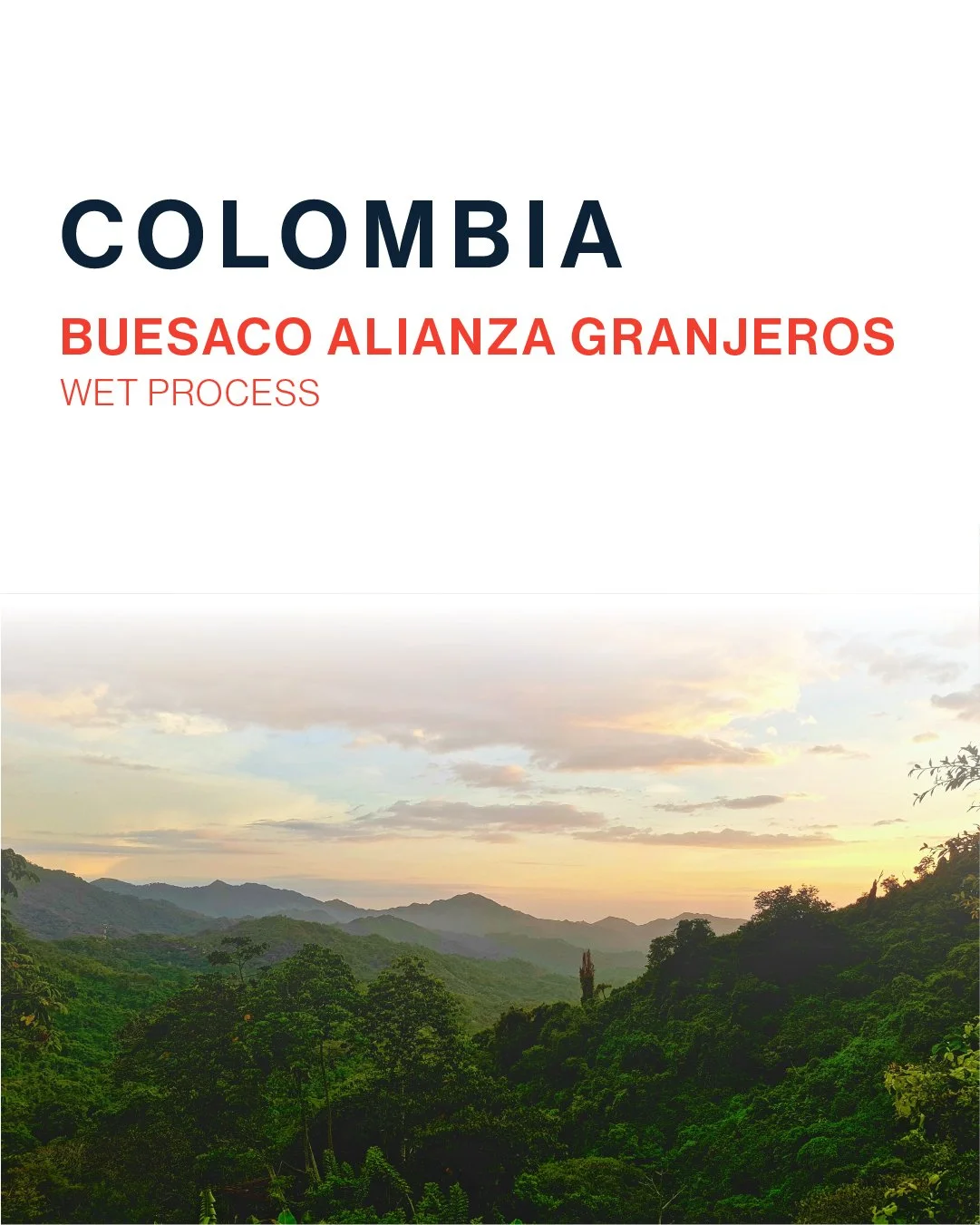 Dejima - OfferingColombia-100.jpg