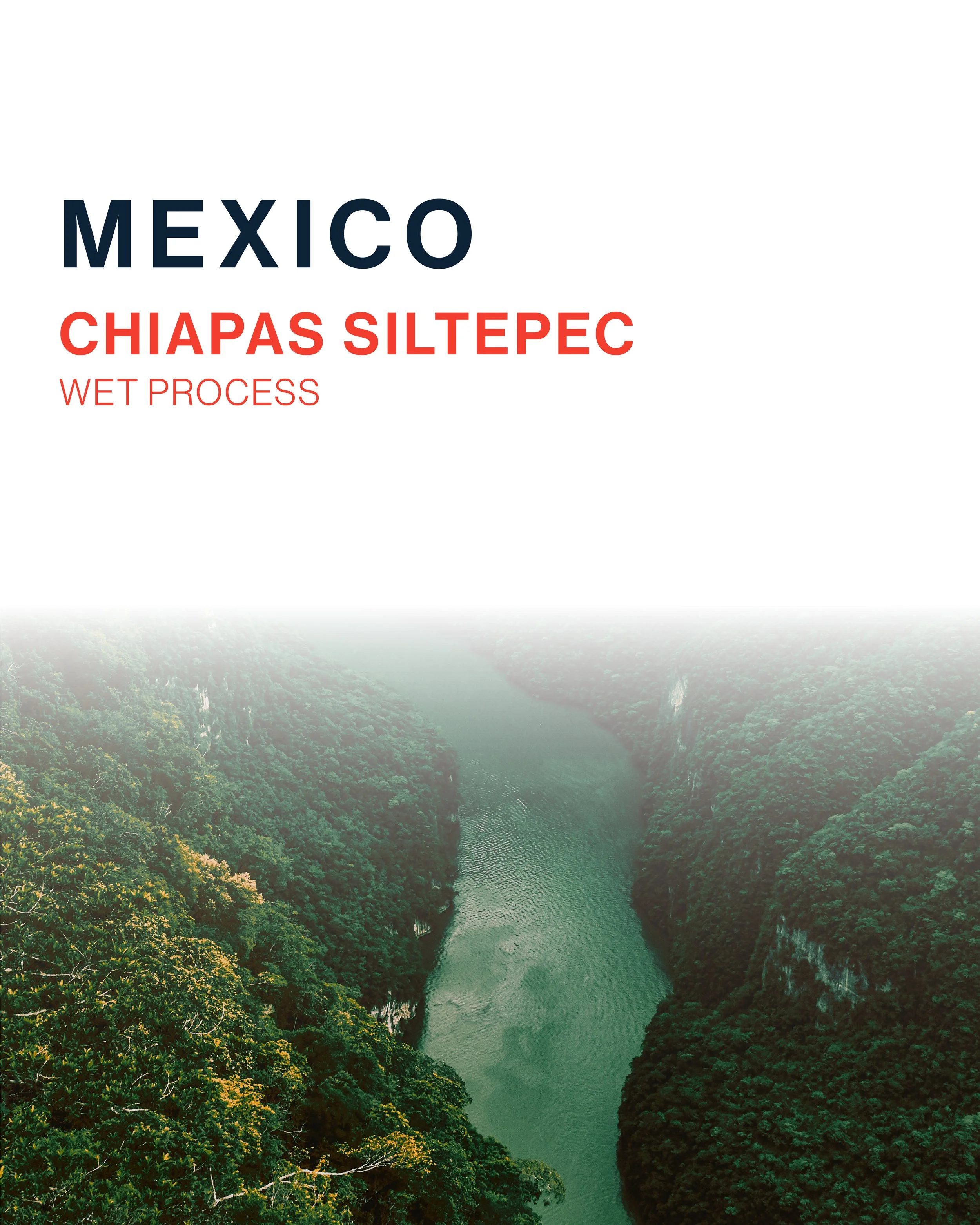 Mexico - Chiapas Siltepec