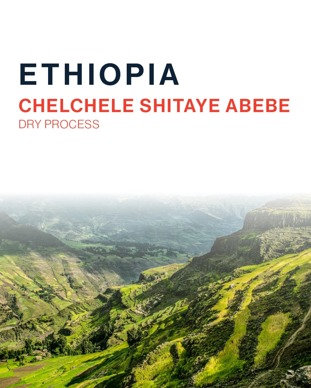 Dejima - OfferingEthiopia-100.jpg