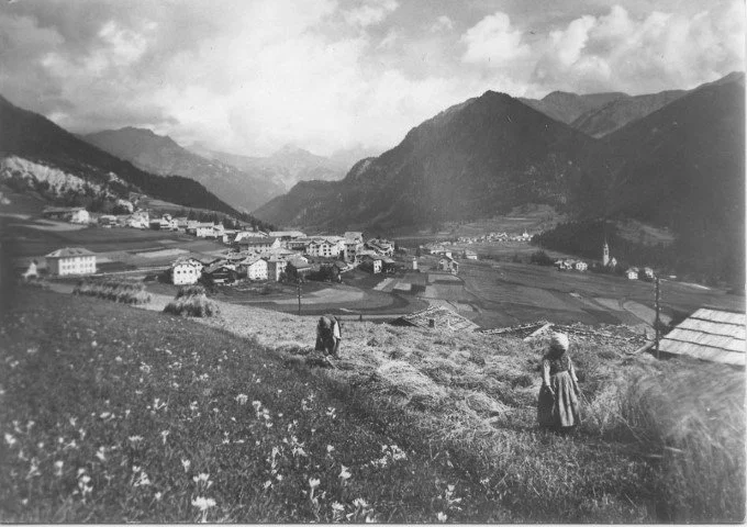 Diaries from a digitisation project: Traditional beekeeping in the Dolomites