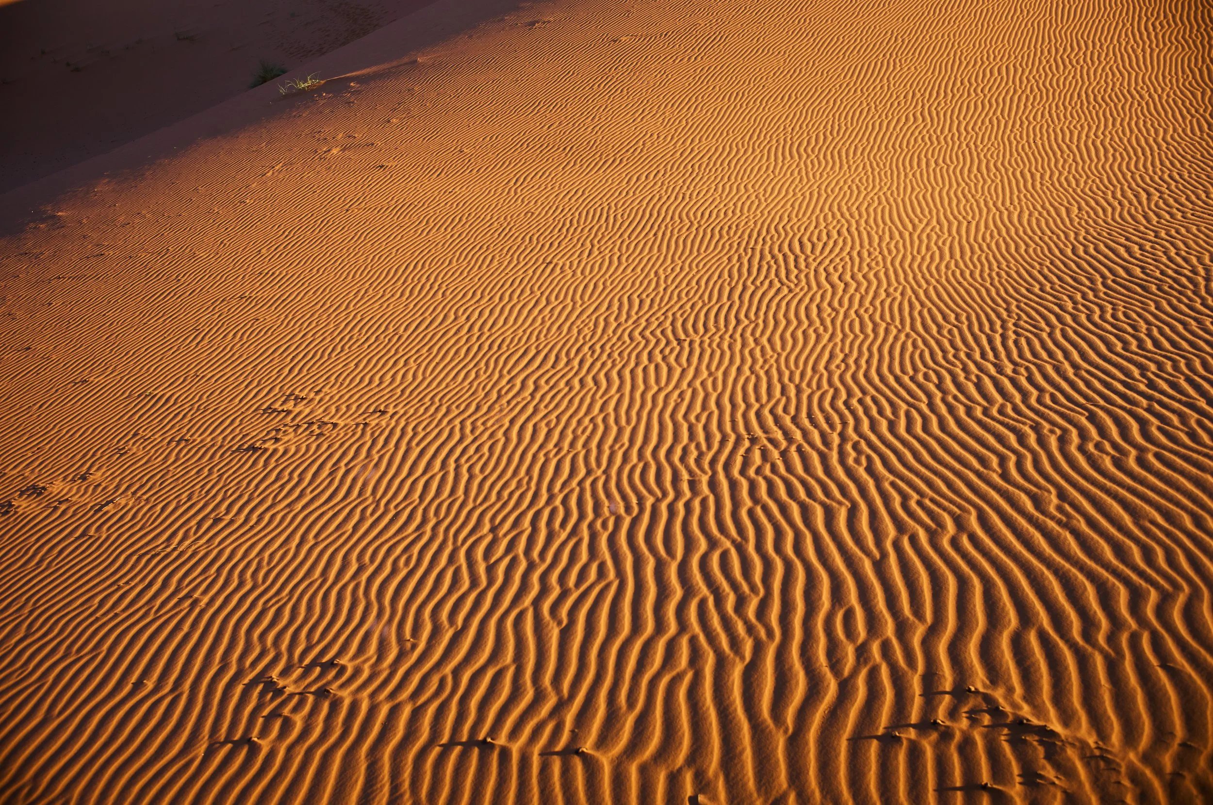 LVK_M11_Sahara__670.jpg