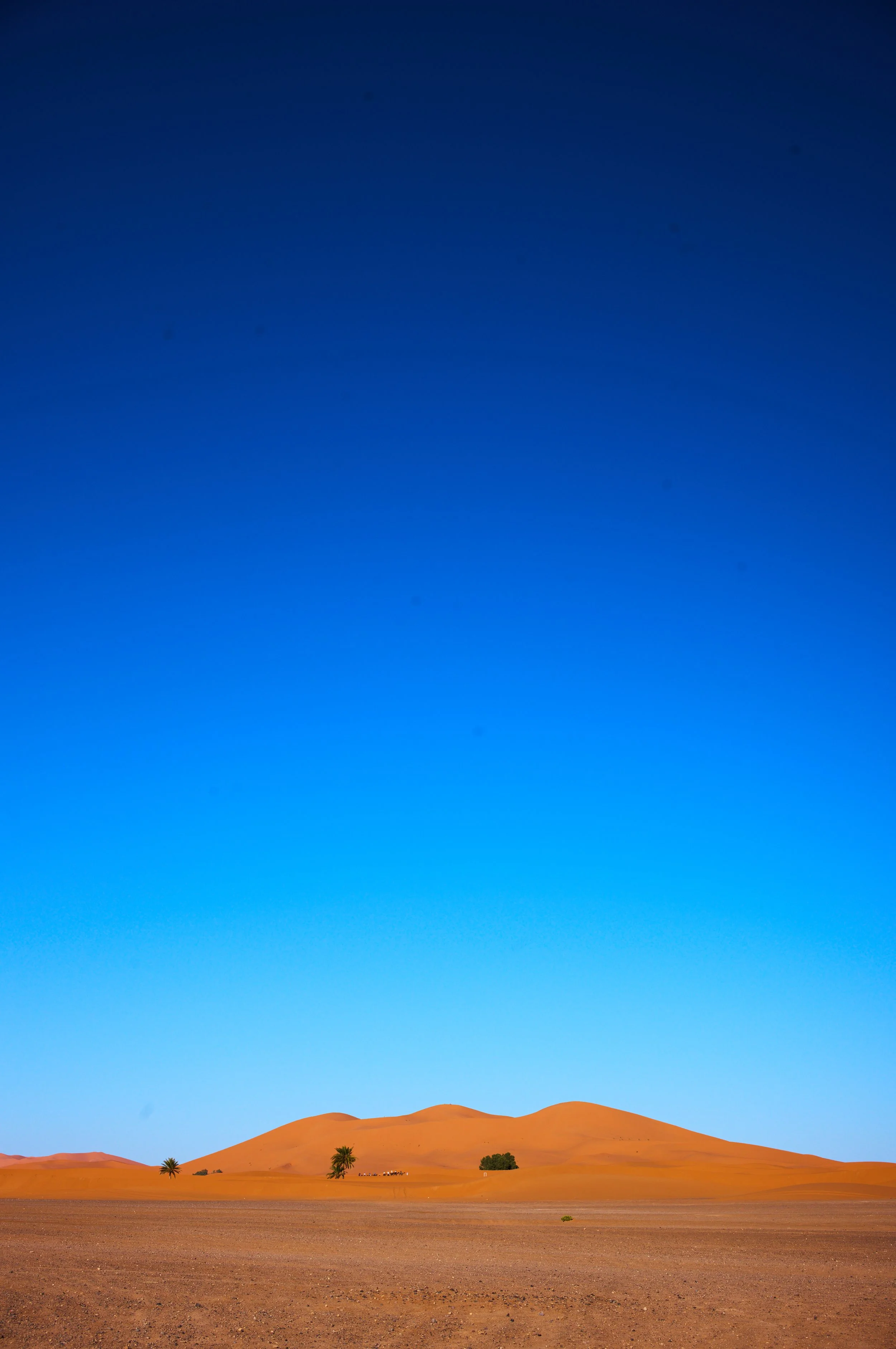 LVK_M11_Sahara__662.jpg