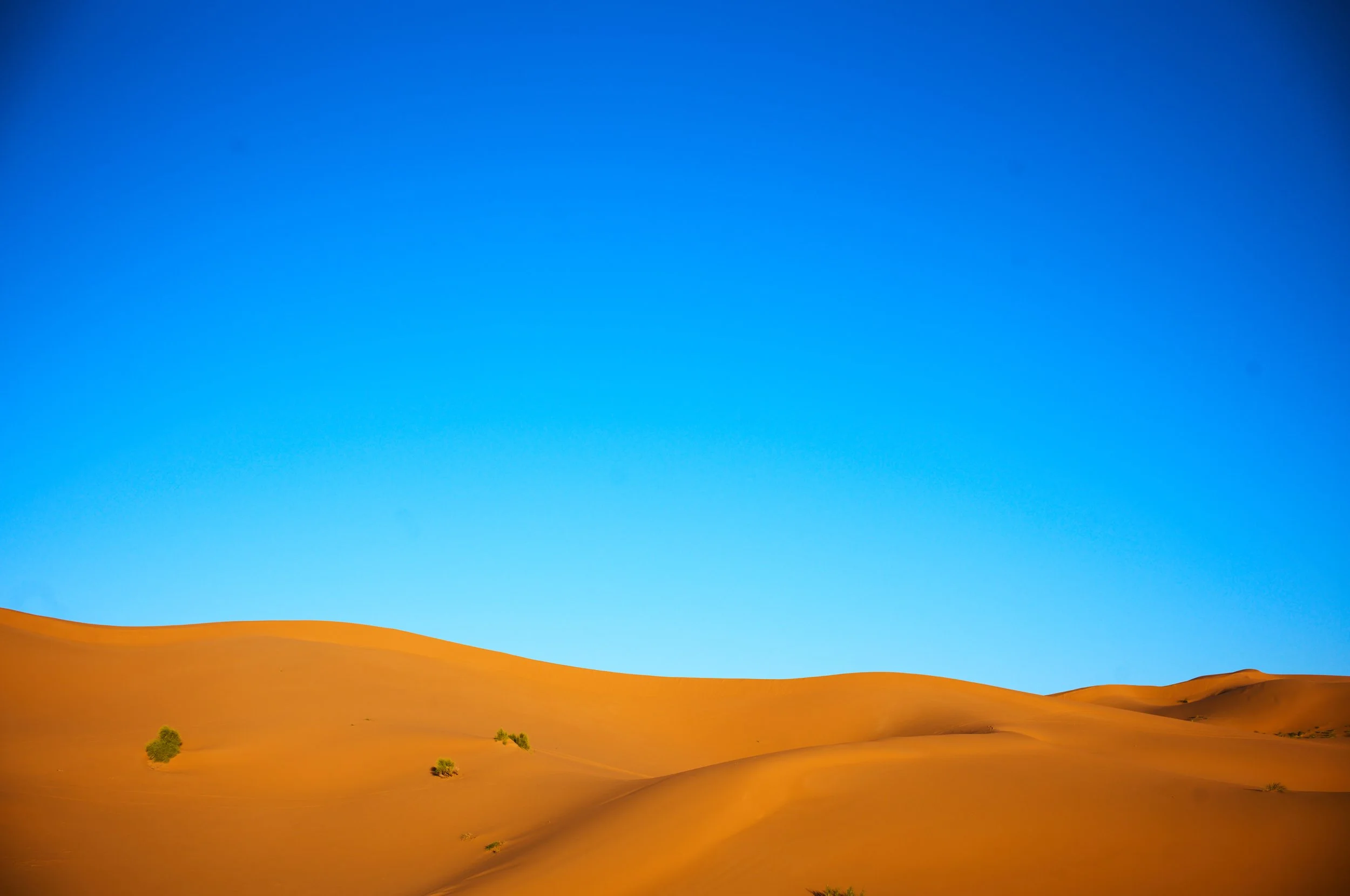 LVK_M11_Sahara__668.jpg