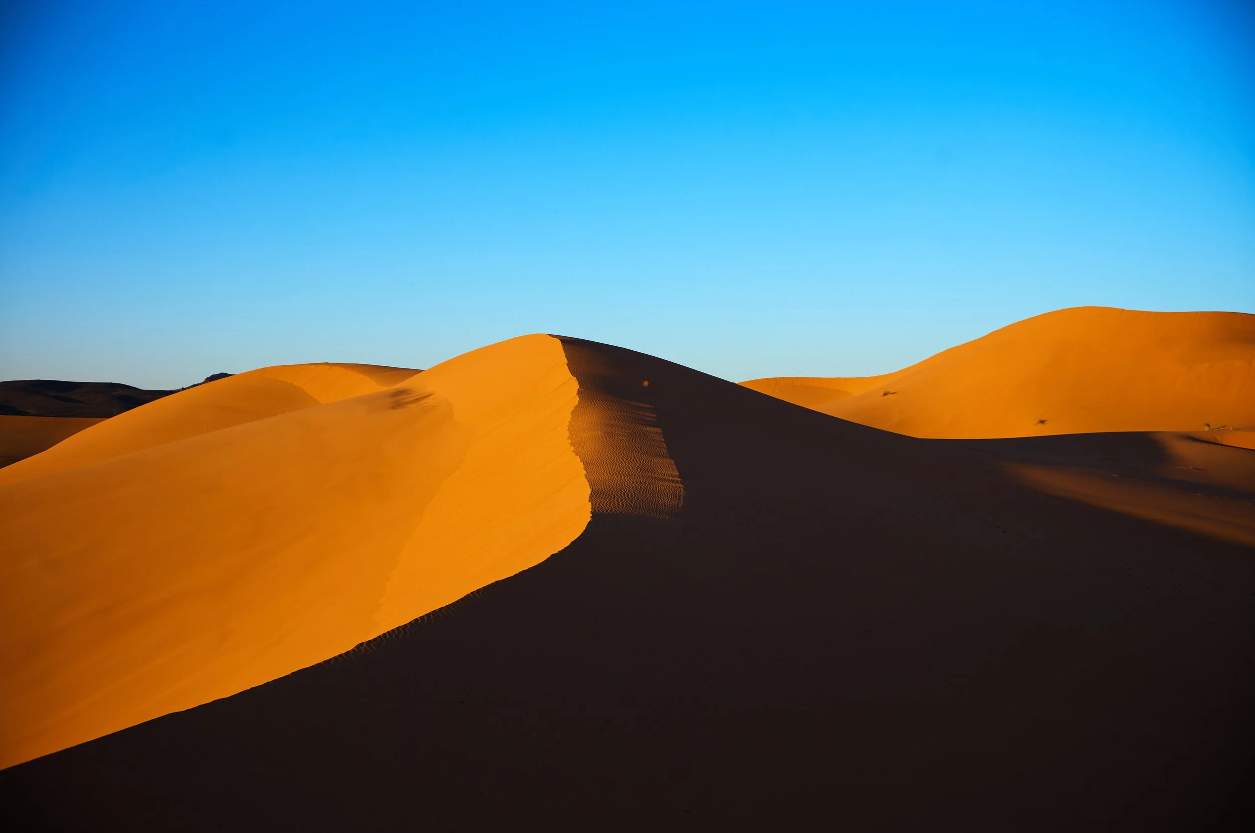 LVK_M11_Sahara__673.jpg