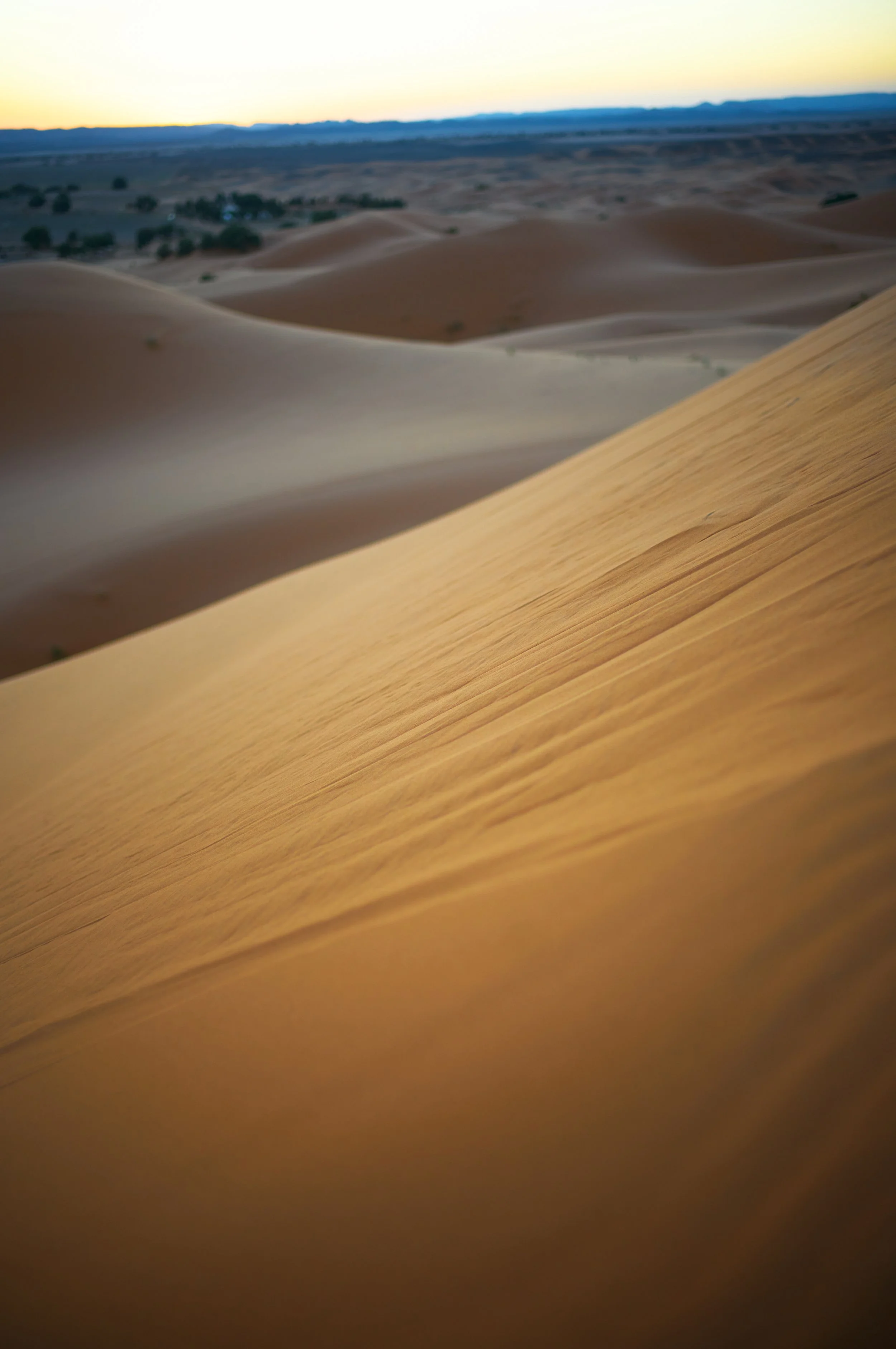 LVK_M11_Sahara__759.jpg