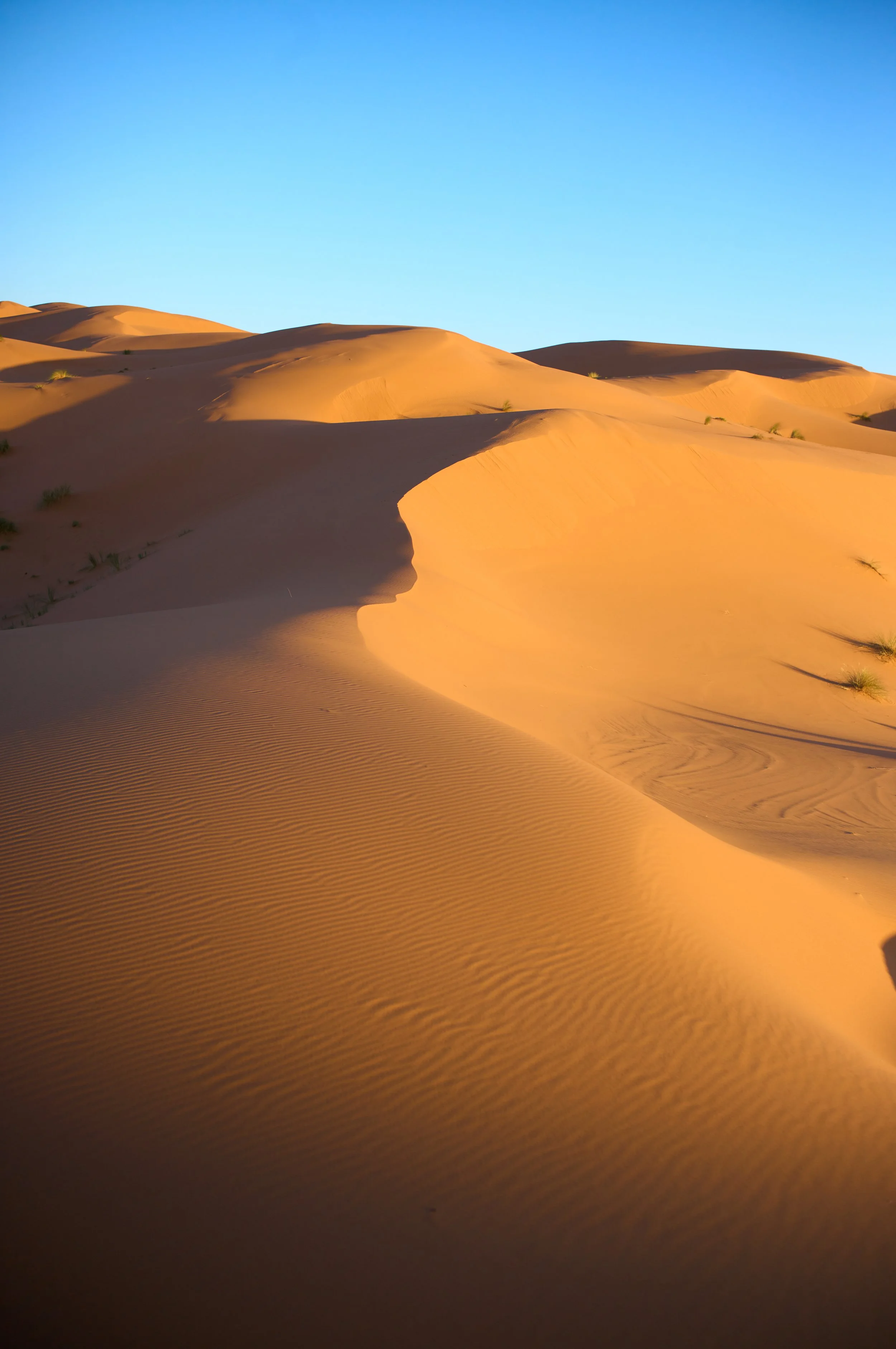 LVK_M11_Sahara__690 1.jpg