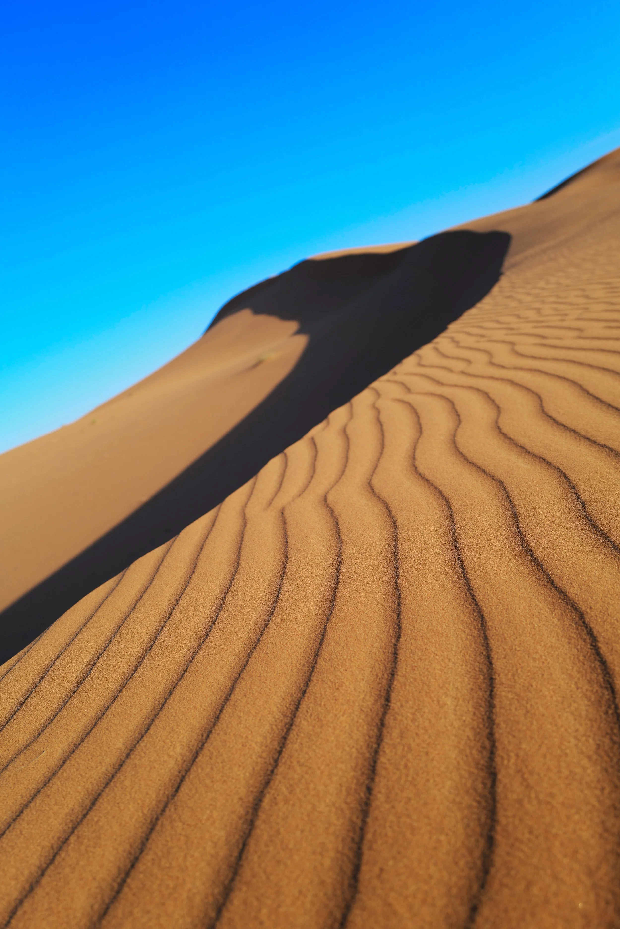 LVK_Q2_Sahara_143.jpg