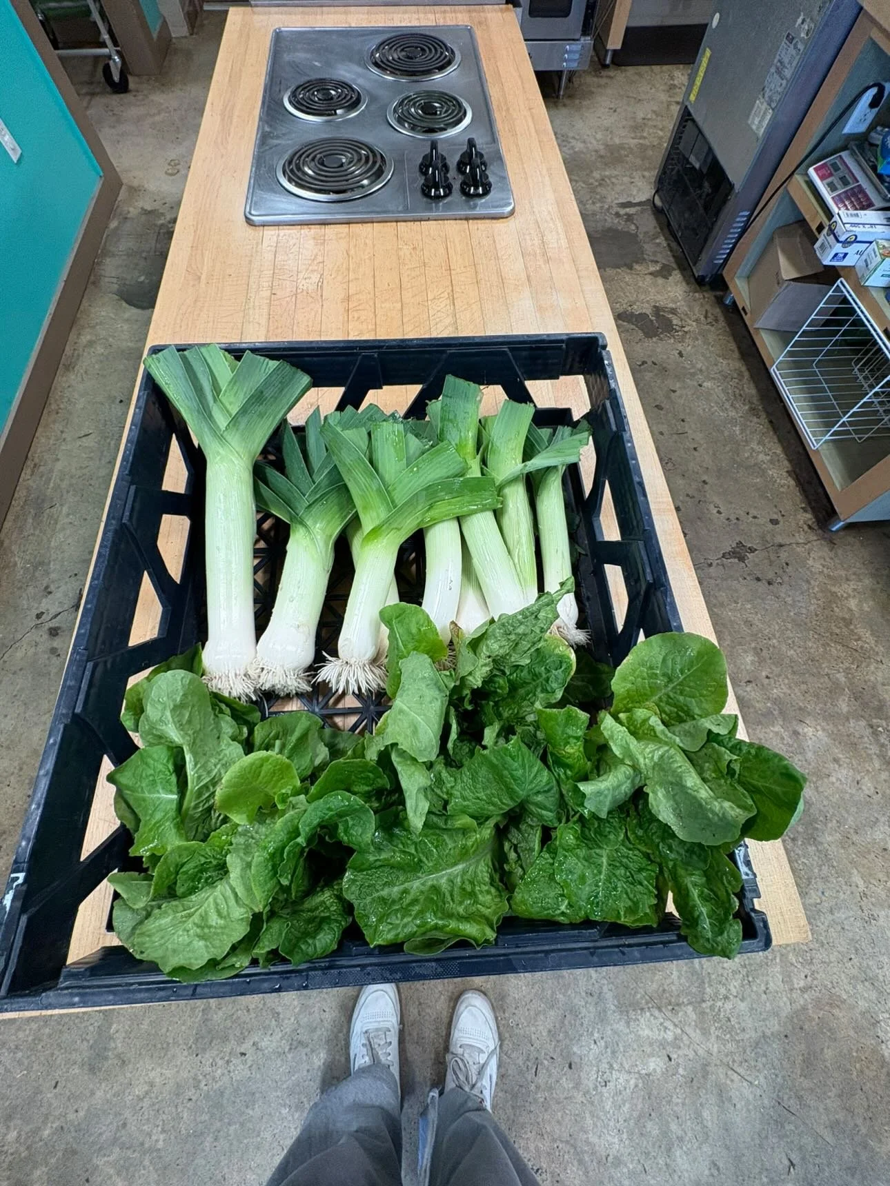 Fresh Starts and full harvests