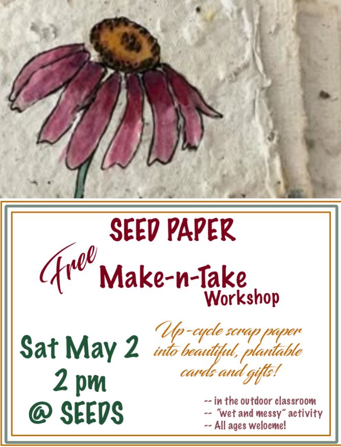 Seed paper making workshop