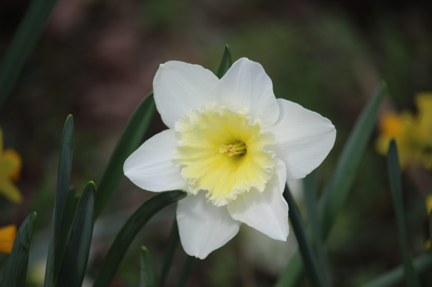 Learning Beyond the Bell: Expanding Your Child’s World