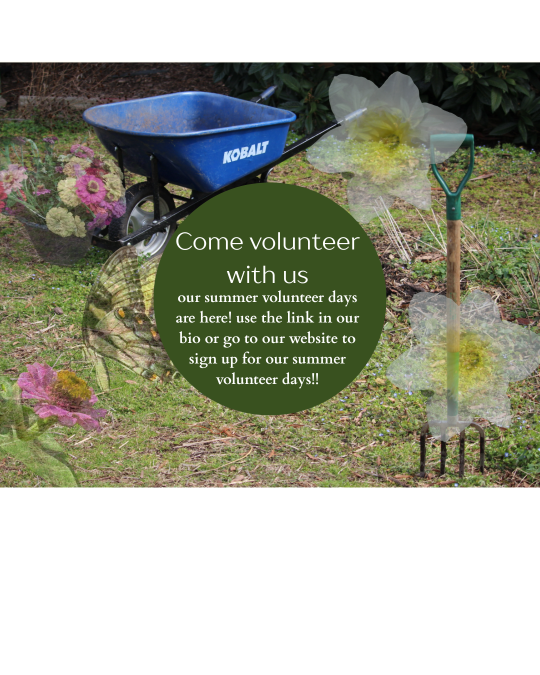 Community volunteer day 