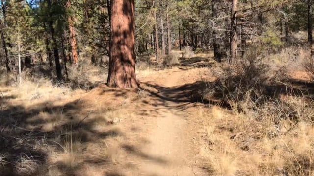 Mtn. Biking in Sisters