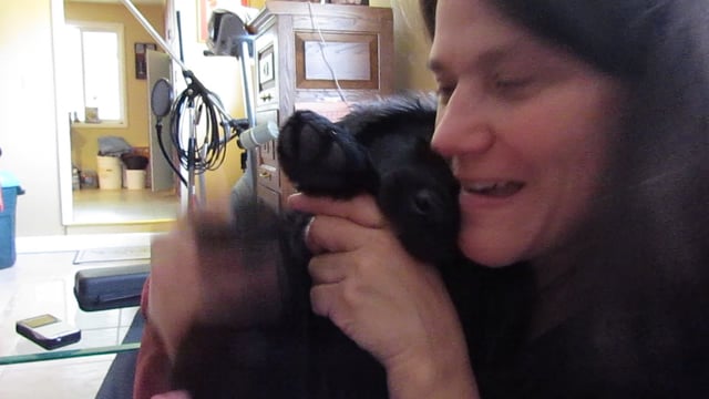 Puppy Love