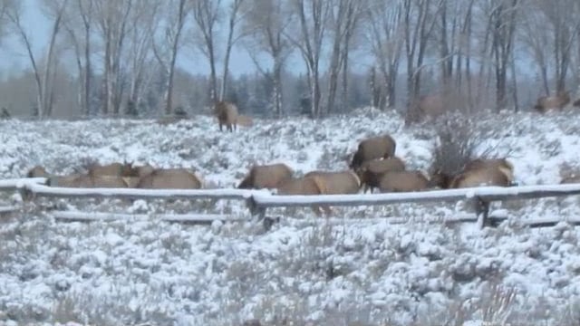 Wyoming2016