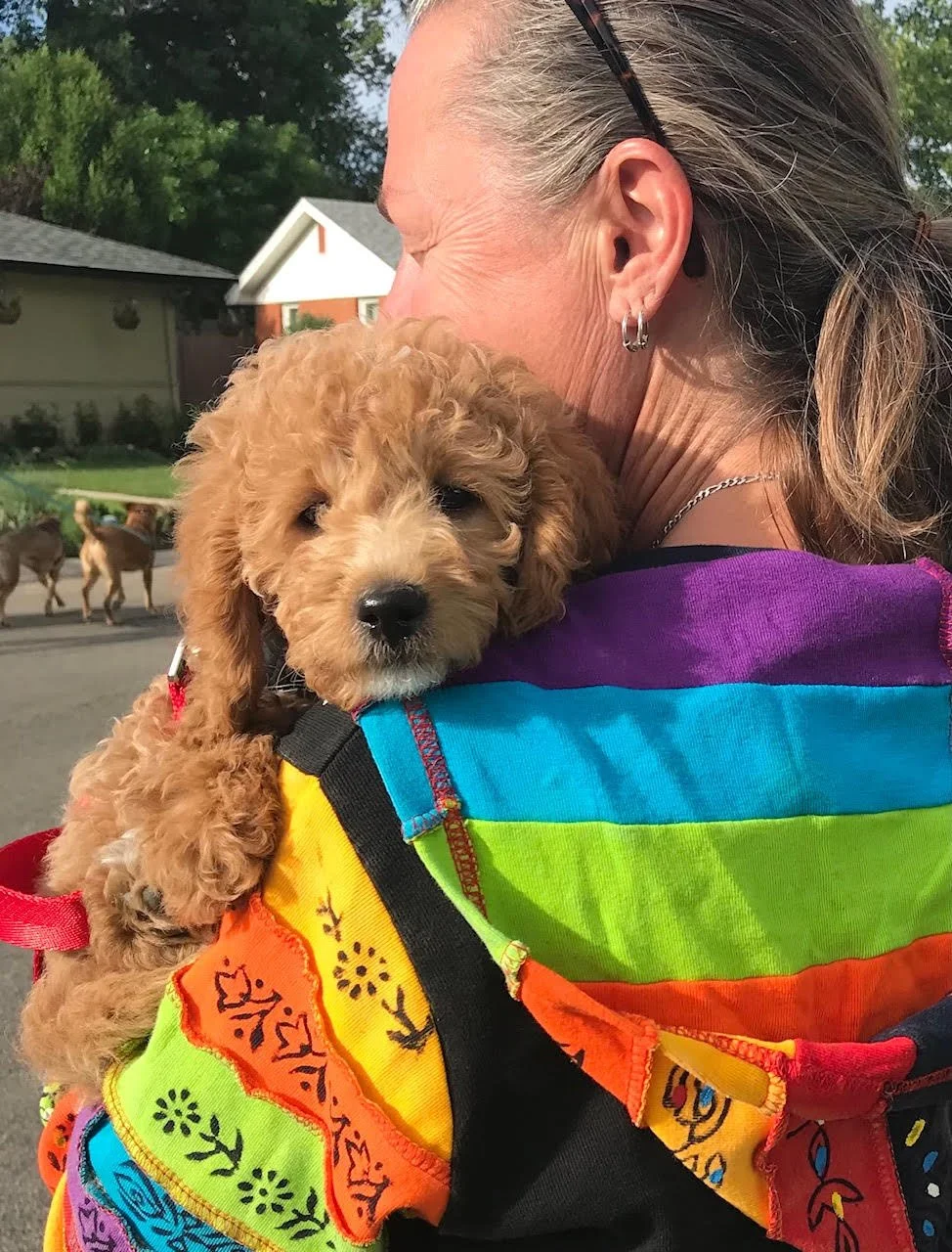 Welcome to June’s blog!