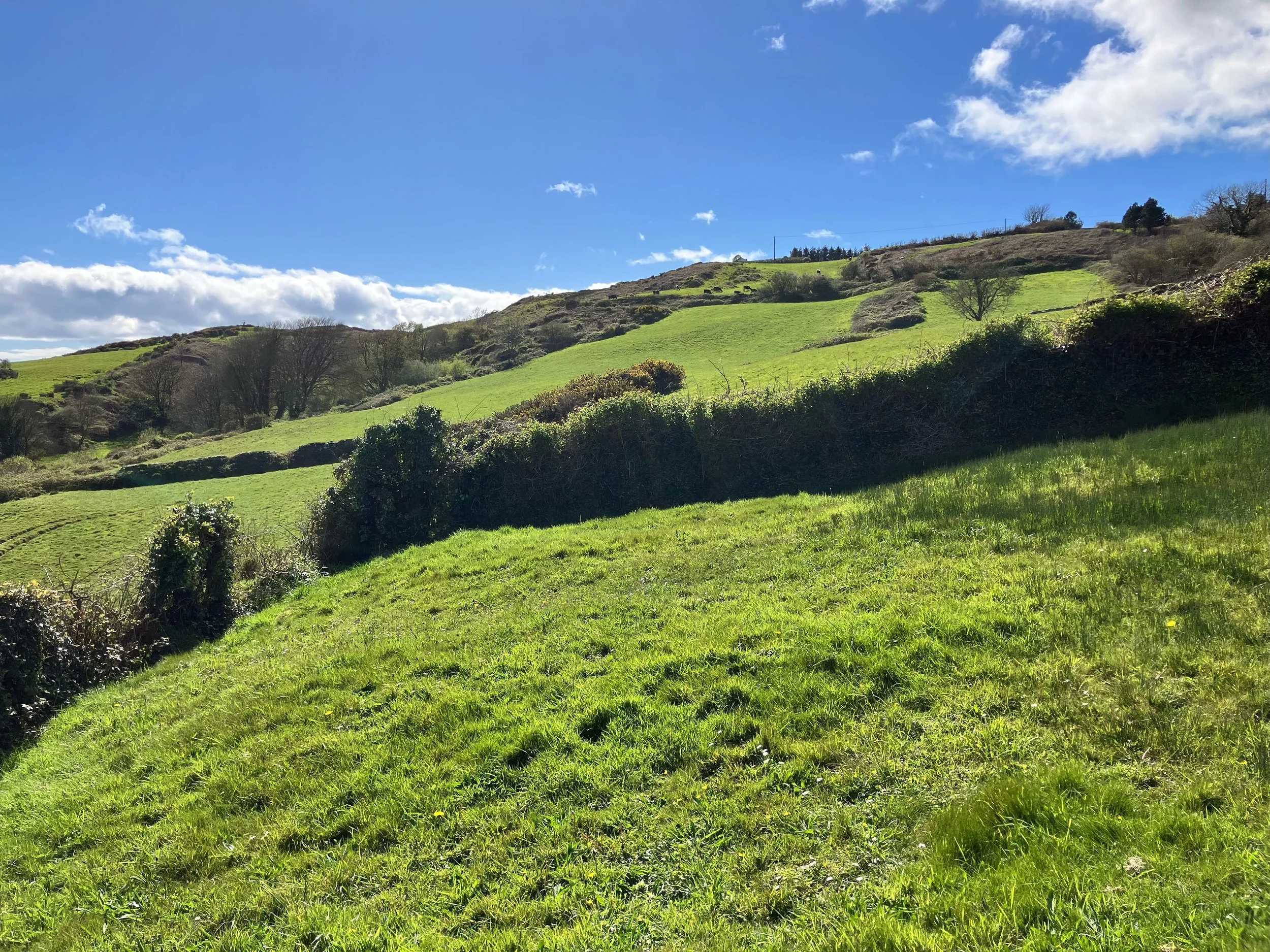 Come to Ireland with Me! ☘️🎶