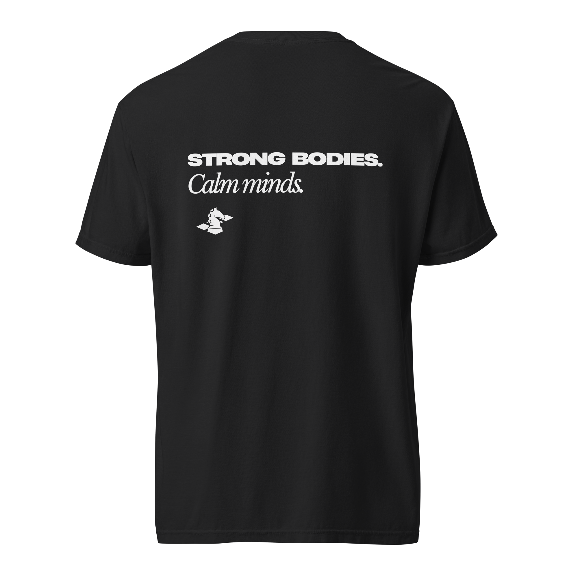 unisex-garment-dyed-heavyweight-t-shirt-black-back-6a6659524b046.png