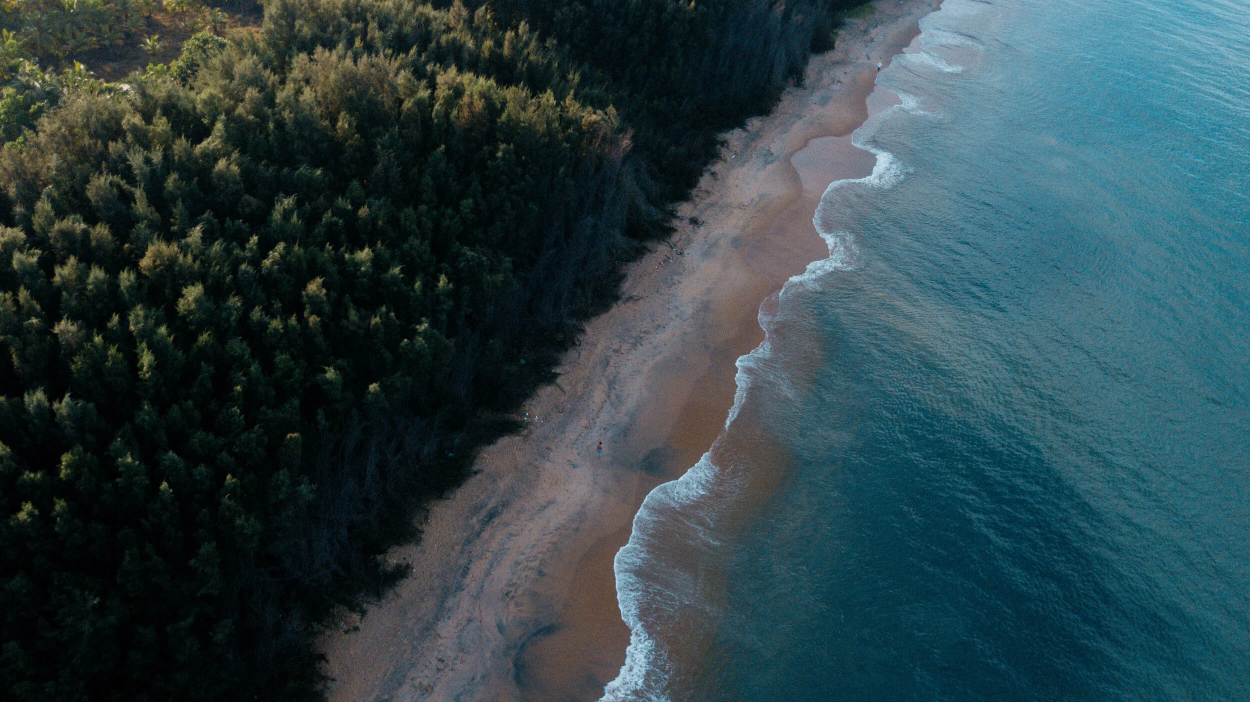 Aerial view of a shoreline featuring a sandy beach beside a dense forest with waves lapping onto the shore.